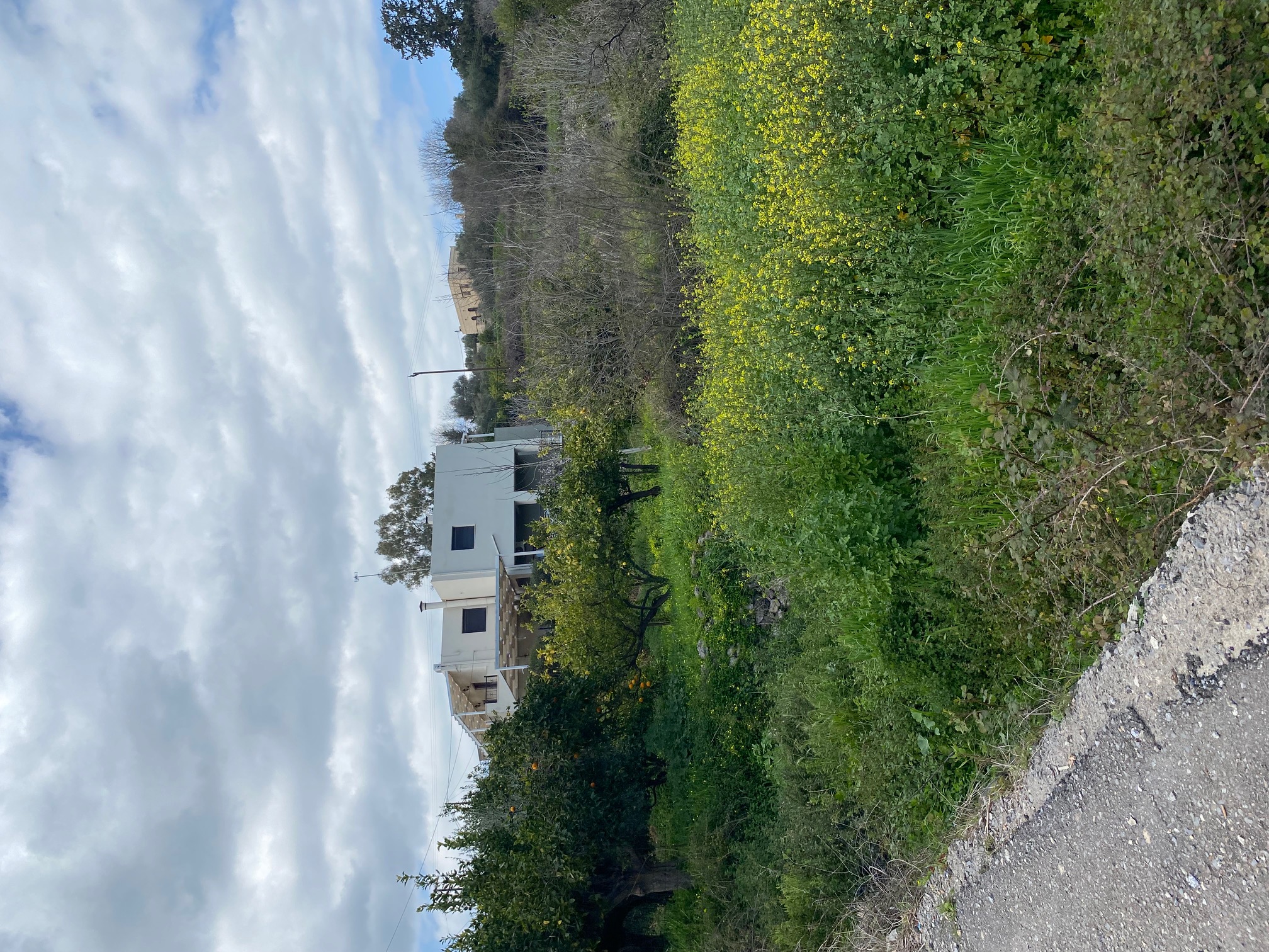 photo0