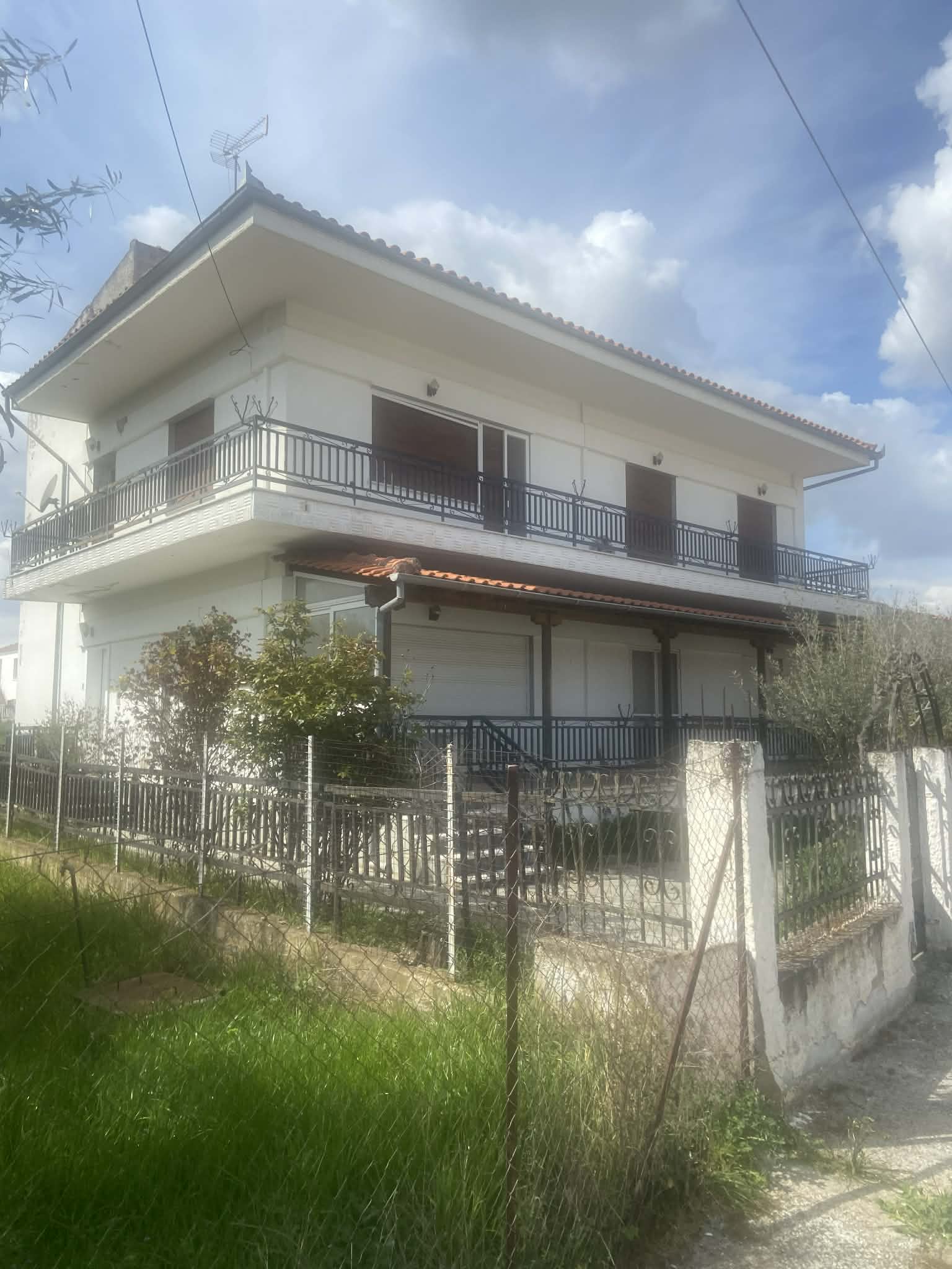 photo1