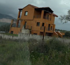 photo2