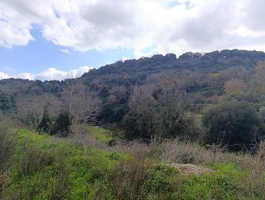 photo3