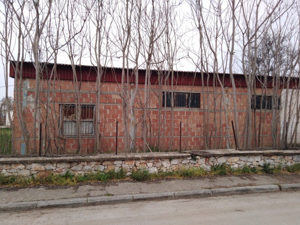 photo1