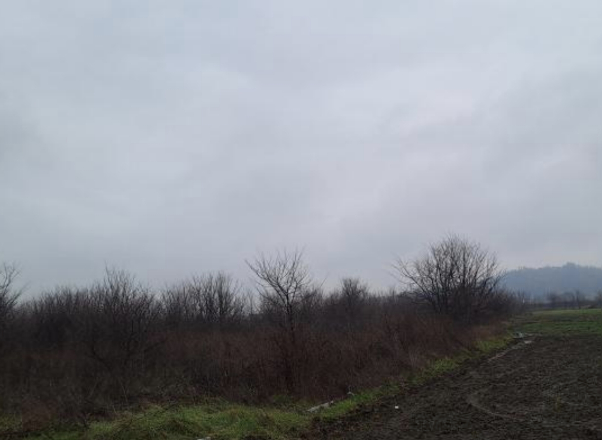 photo0