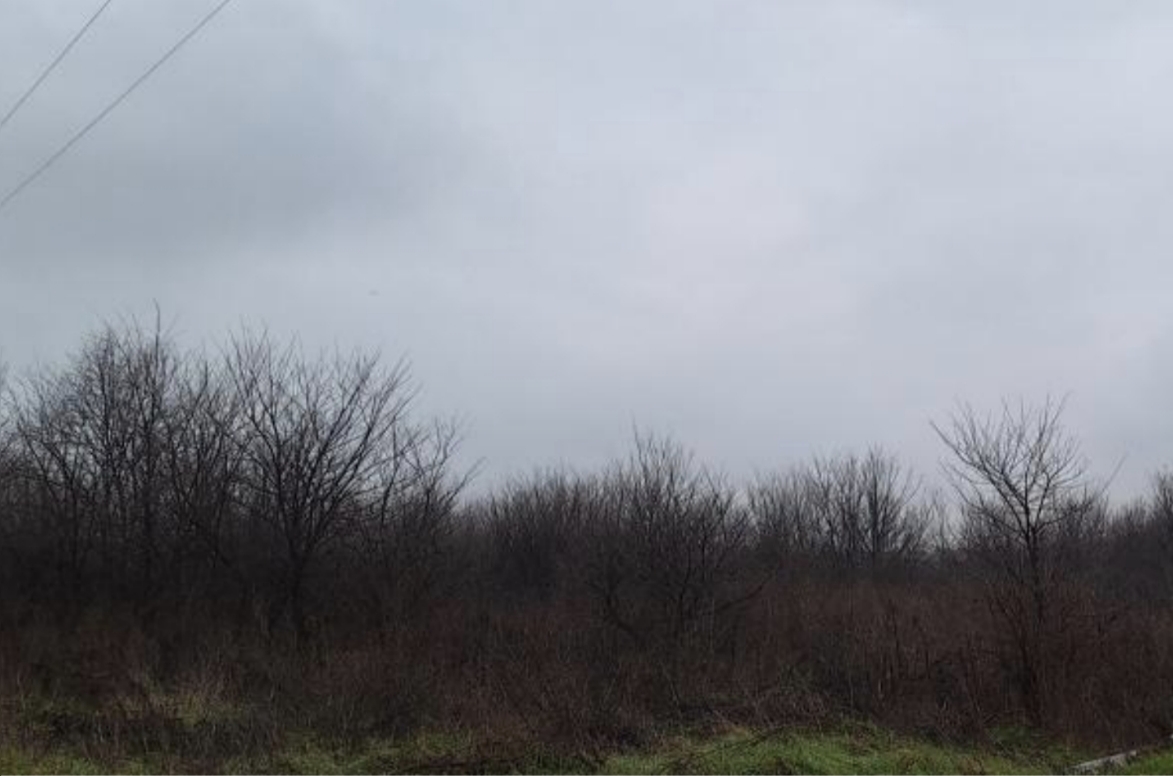 photo5