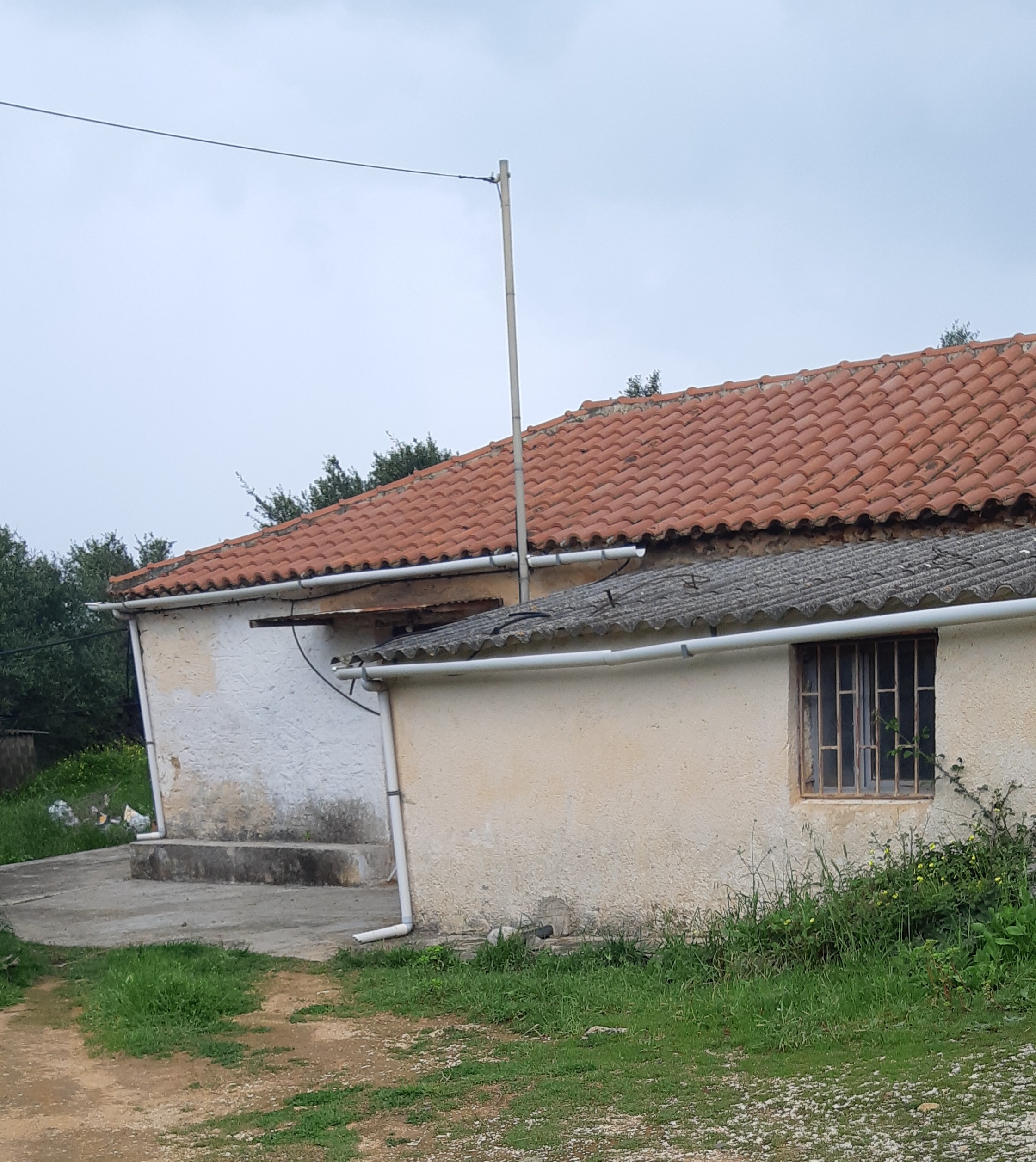 photo0