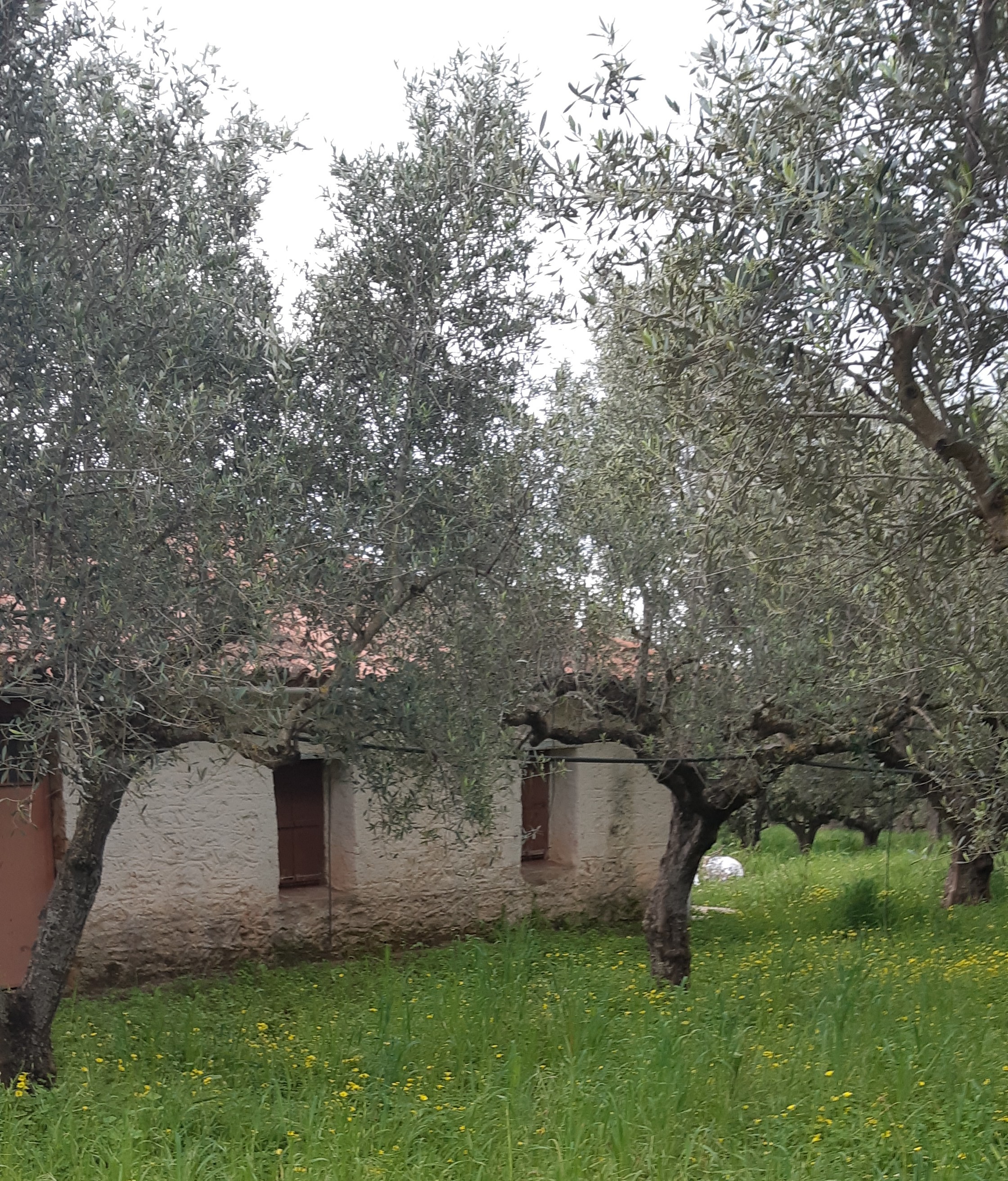 photo1