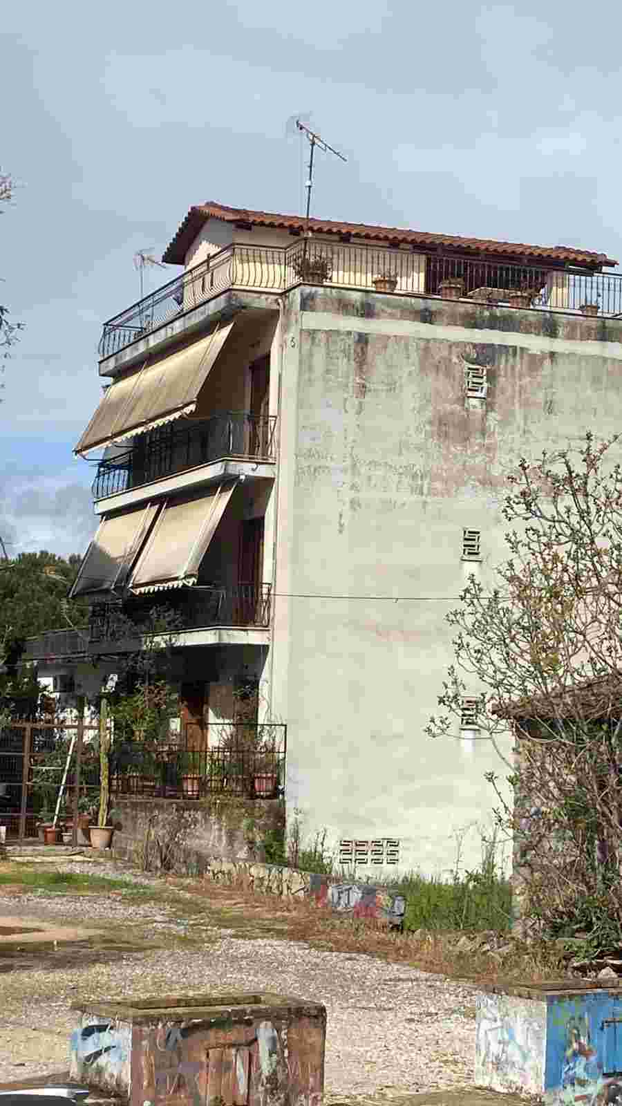 photo1