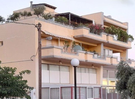 photo1