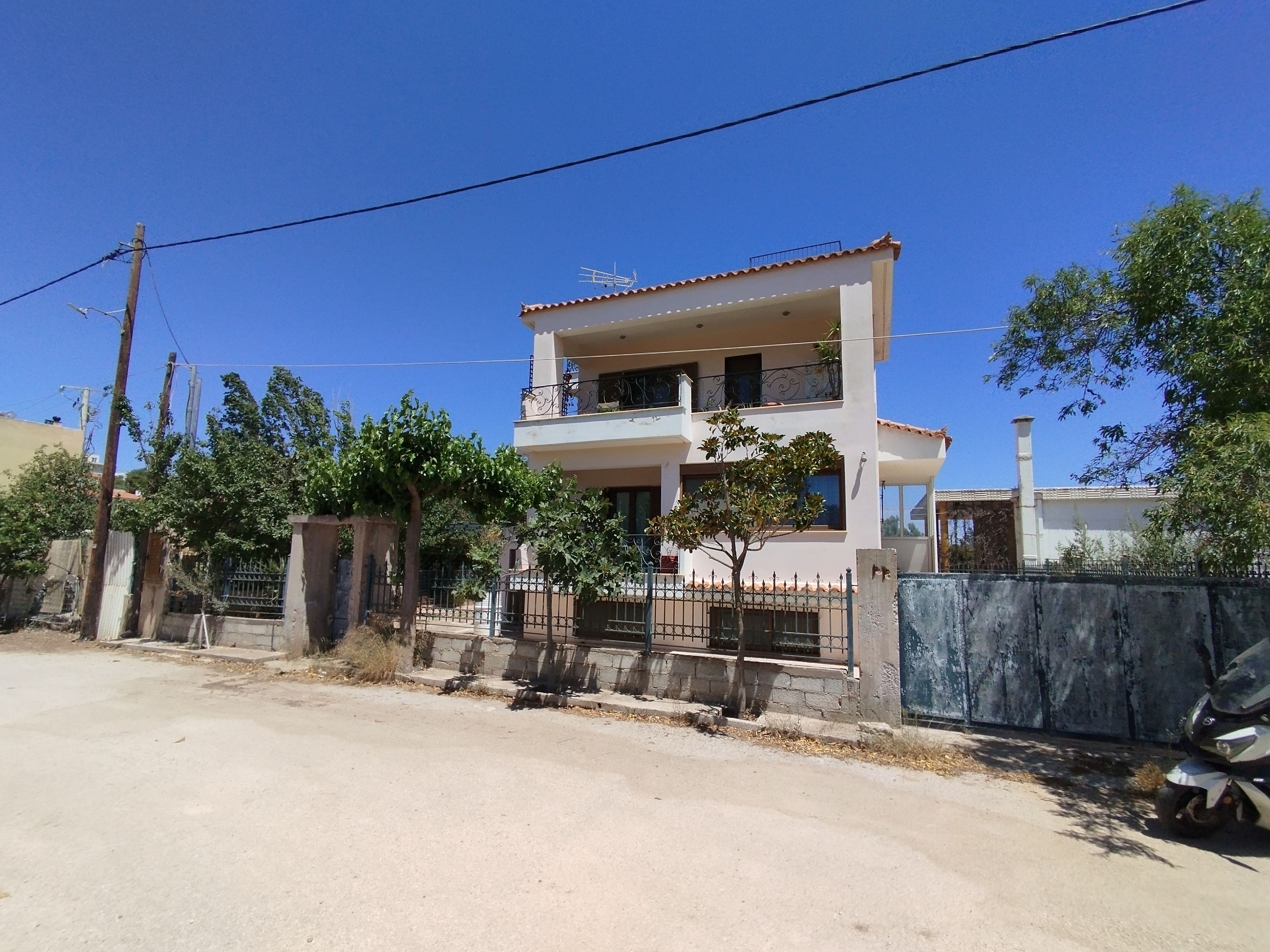 photo1