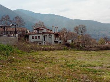 photo0