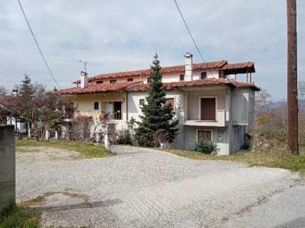 photo1