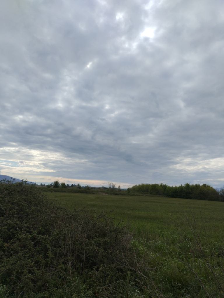 photo0