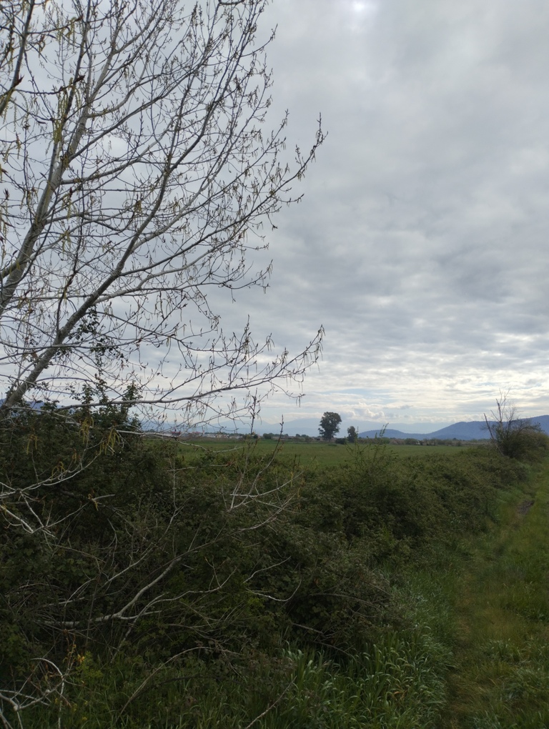 photo1