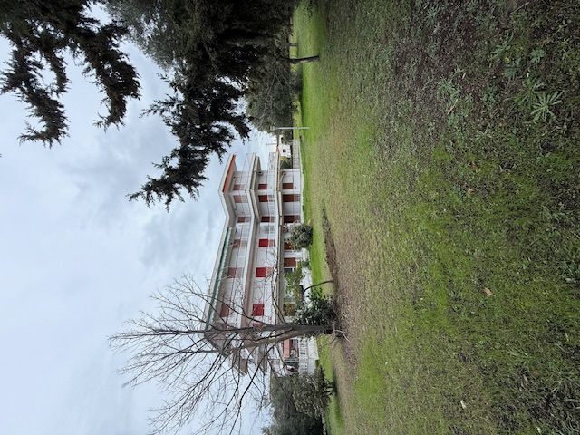 photo1