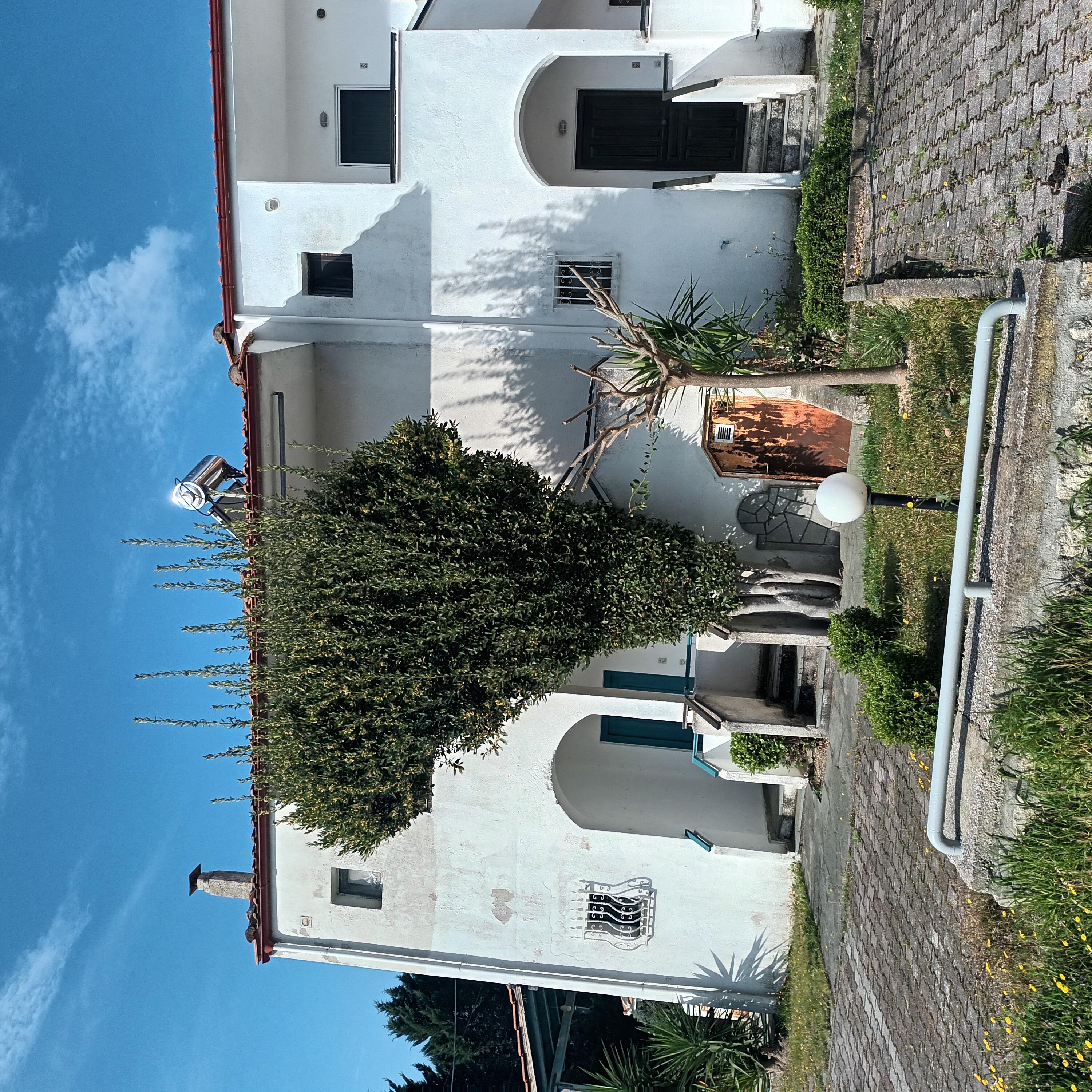 photo0