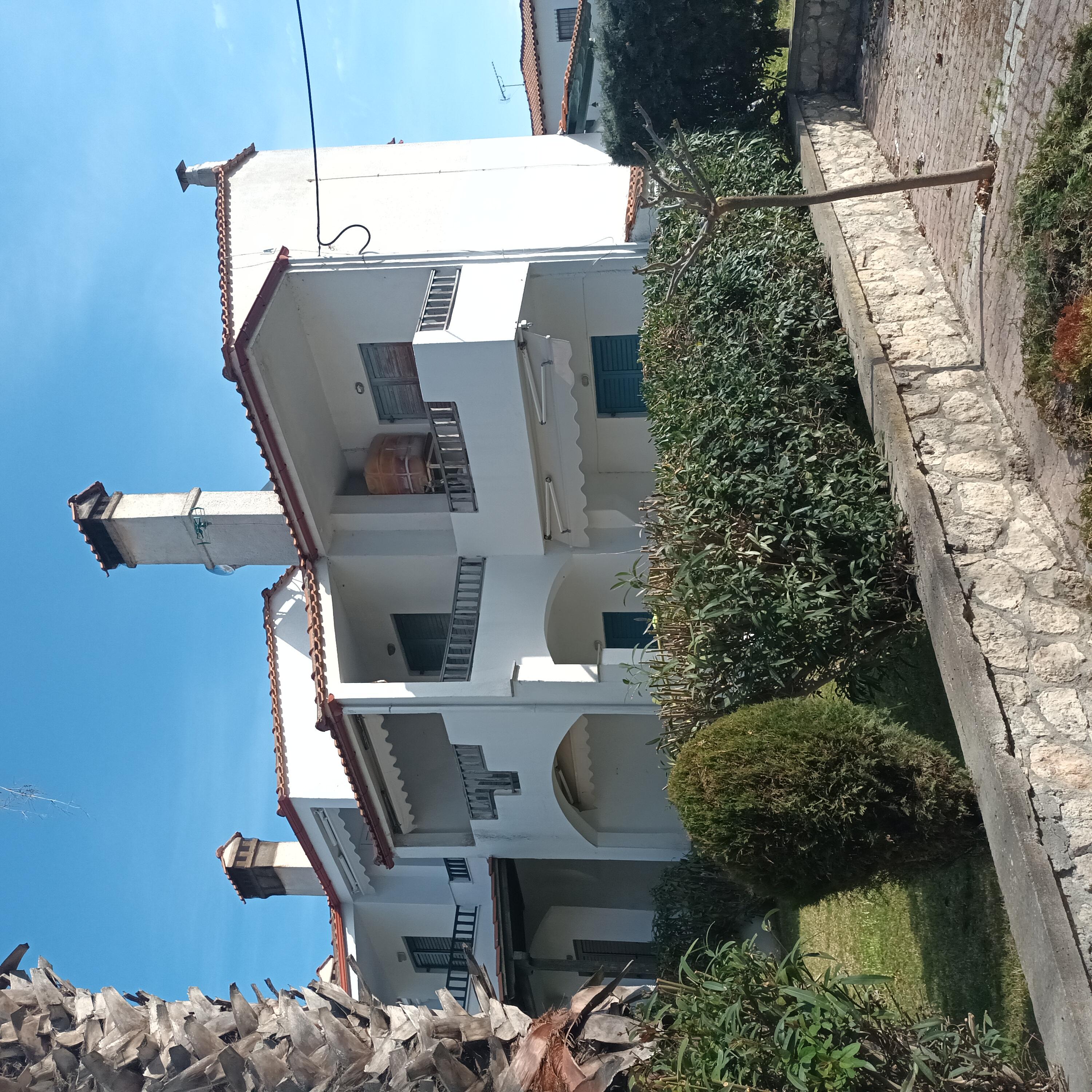 photo1
