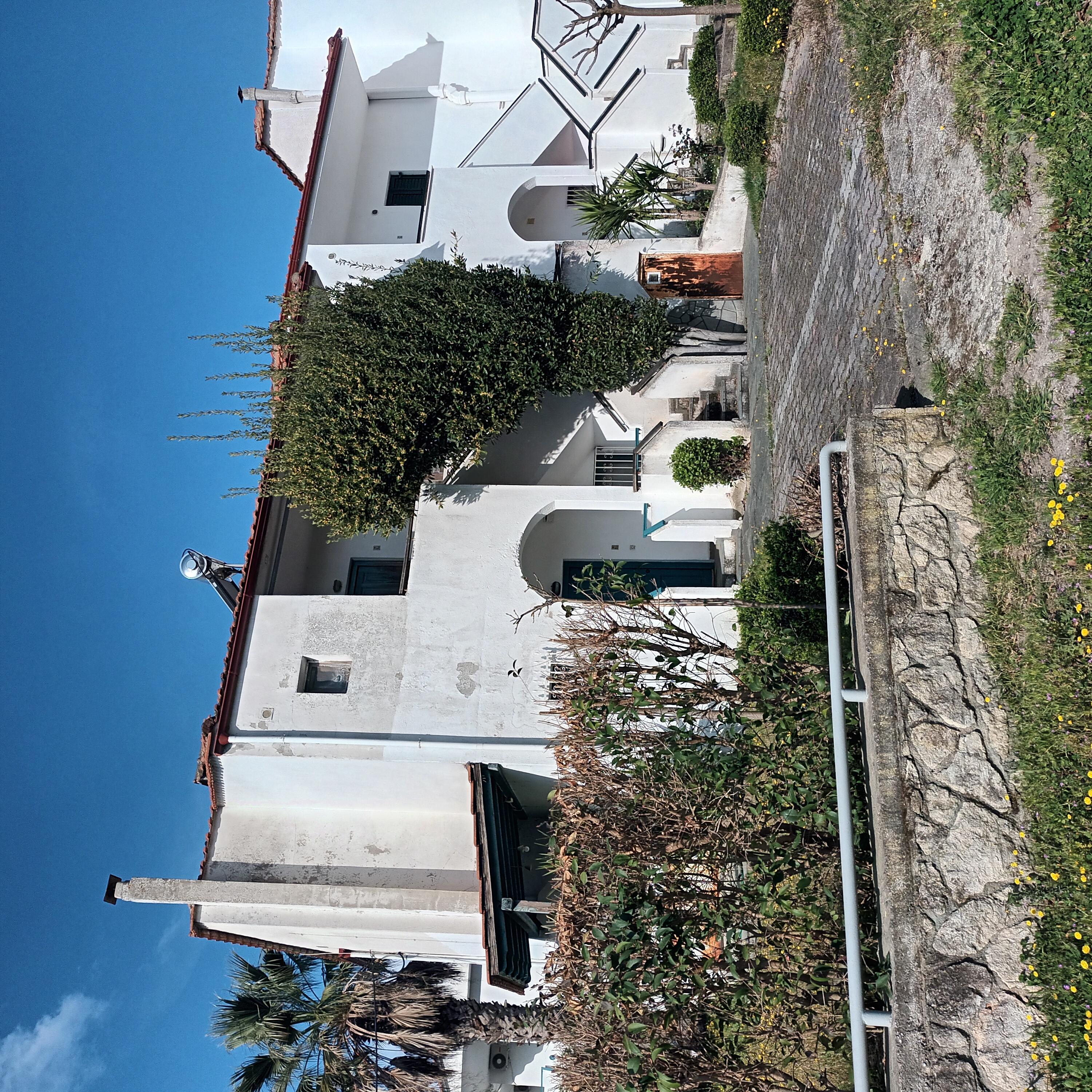 photo2