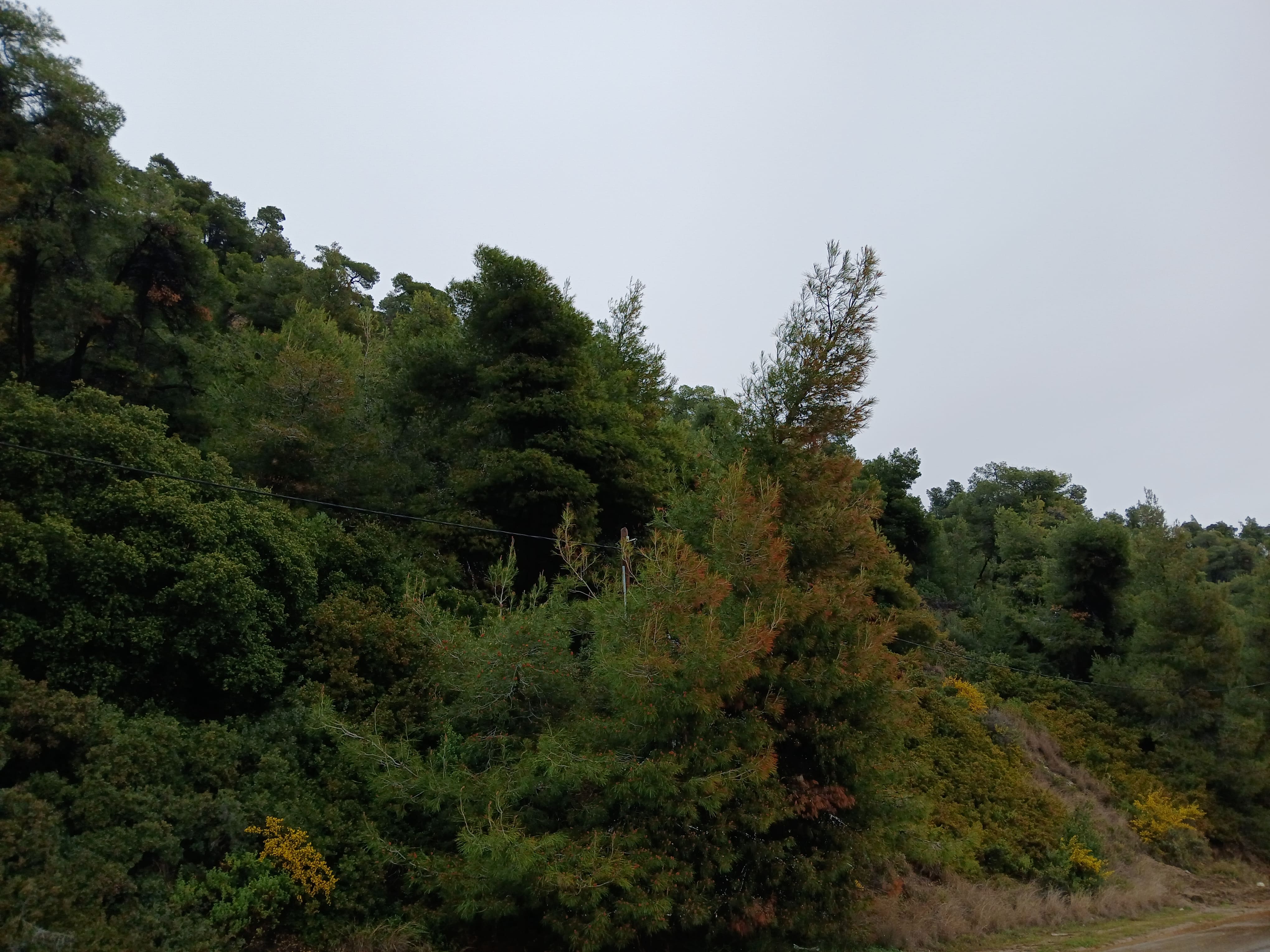 photo1