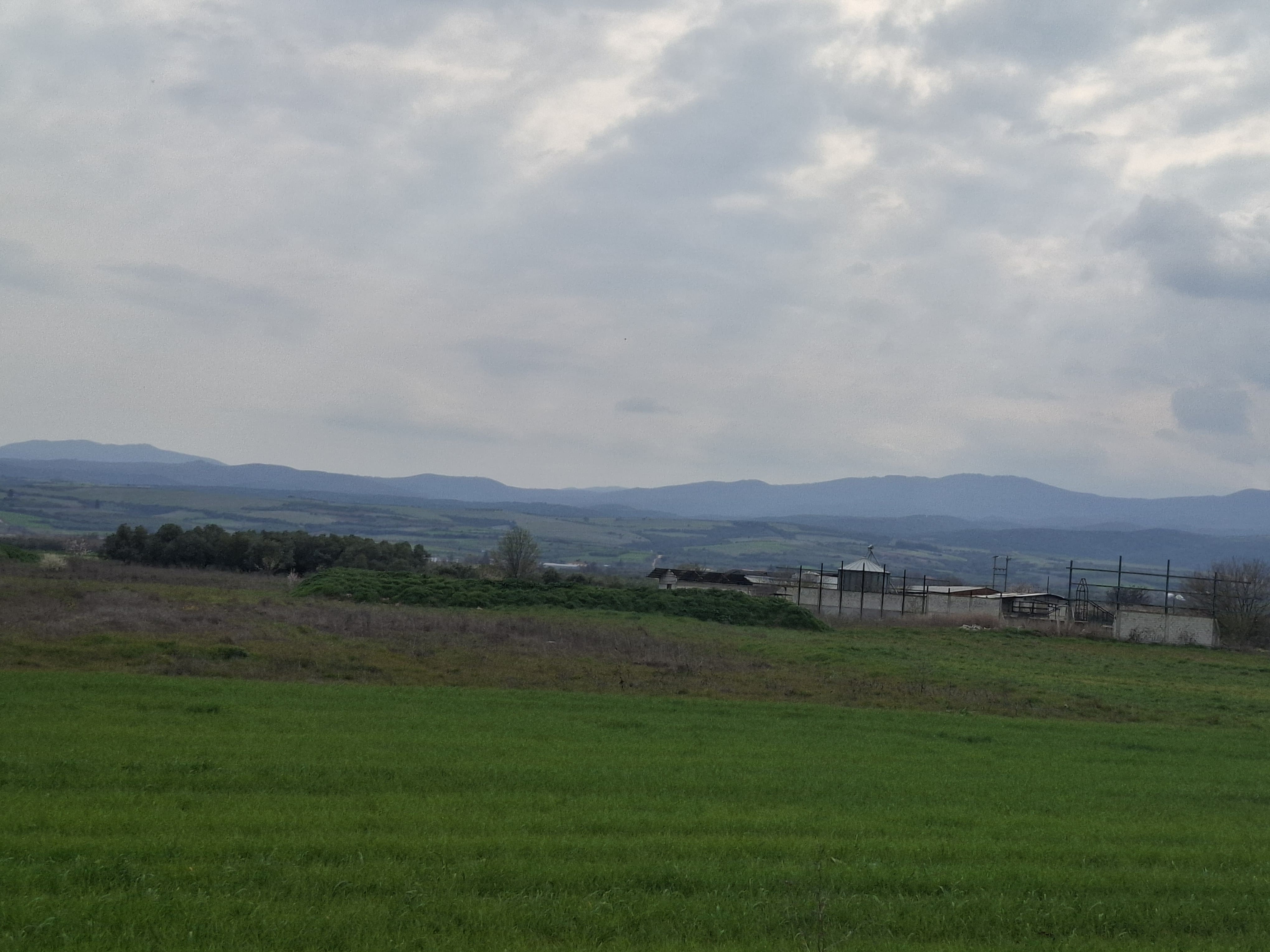 photo0