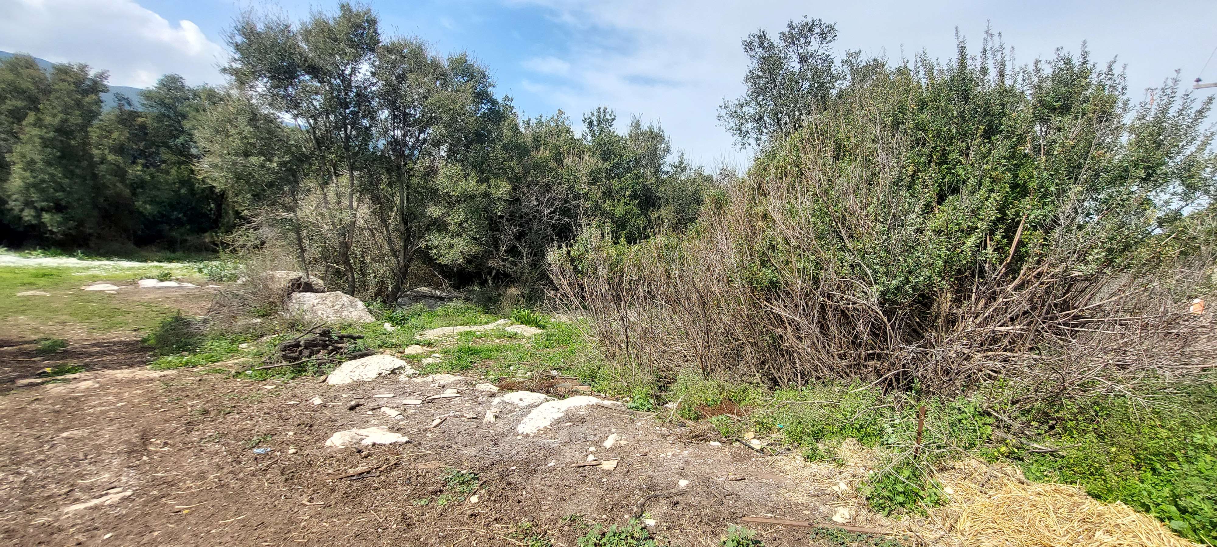 photo2