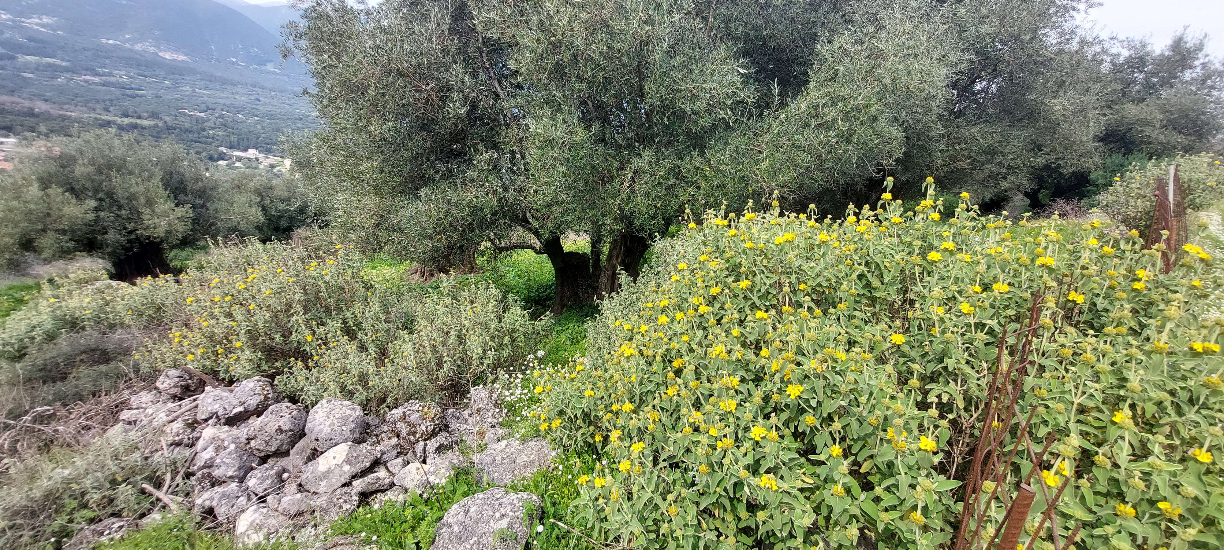 photo6