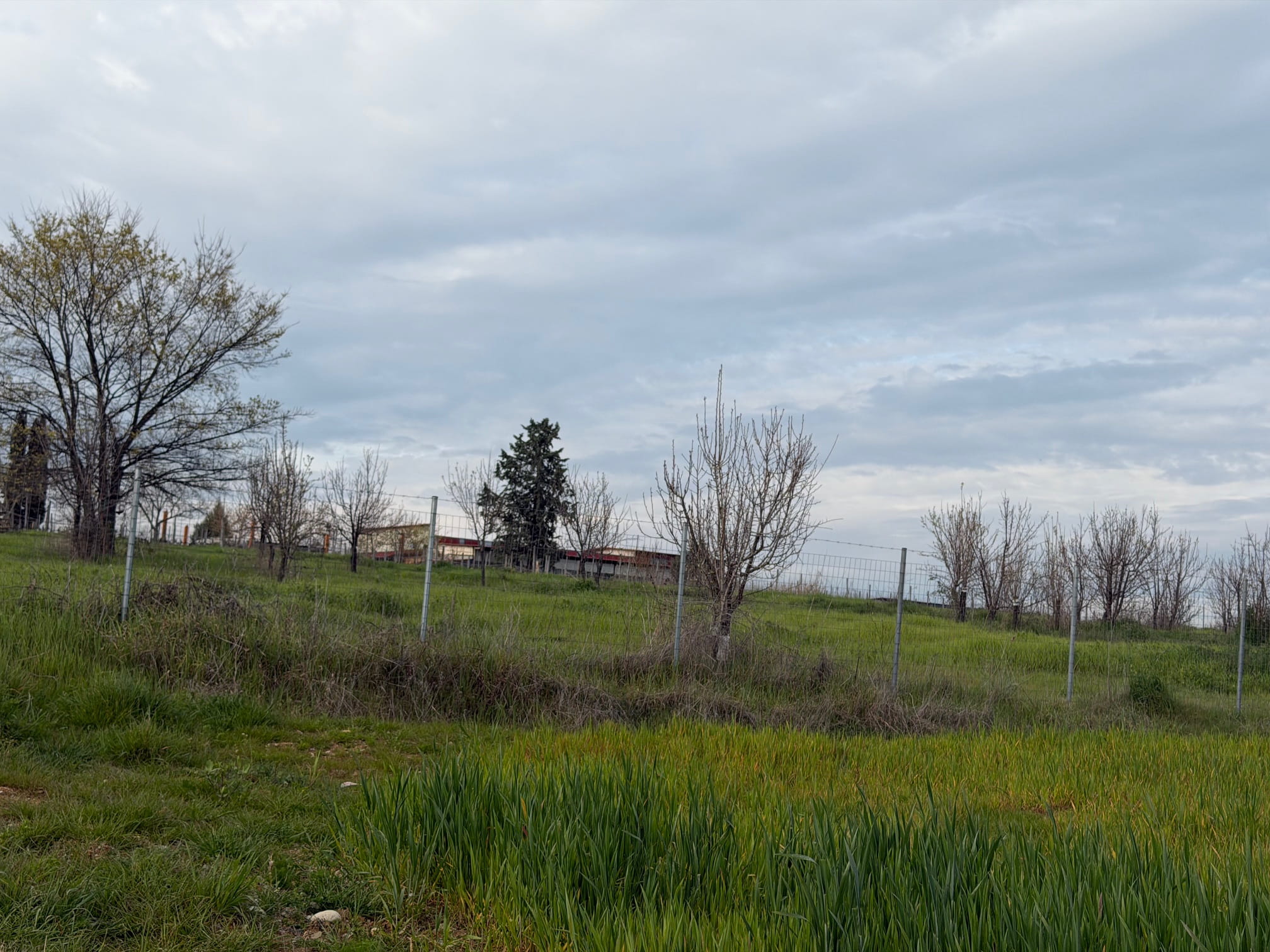 photo1
