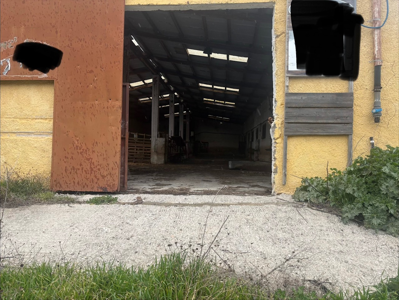 photo0
