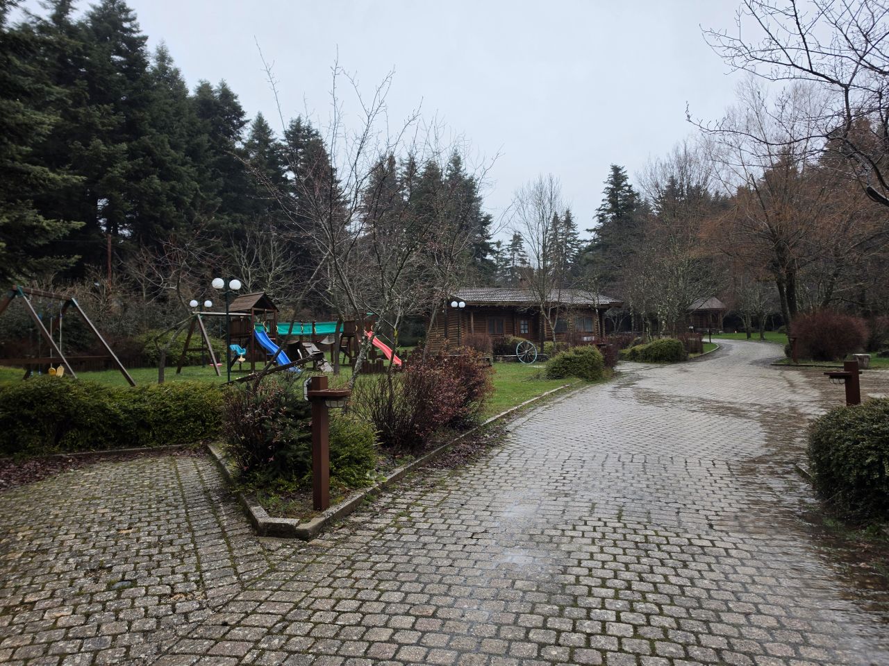 photo12