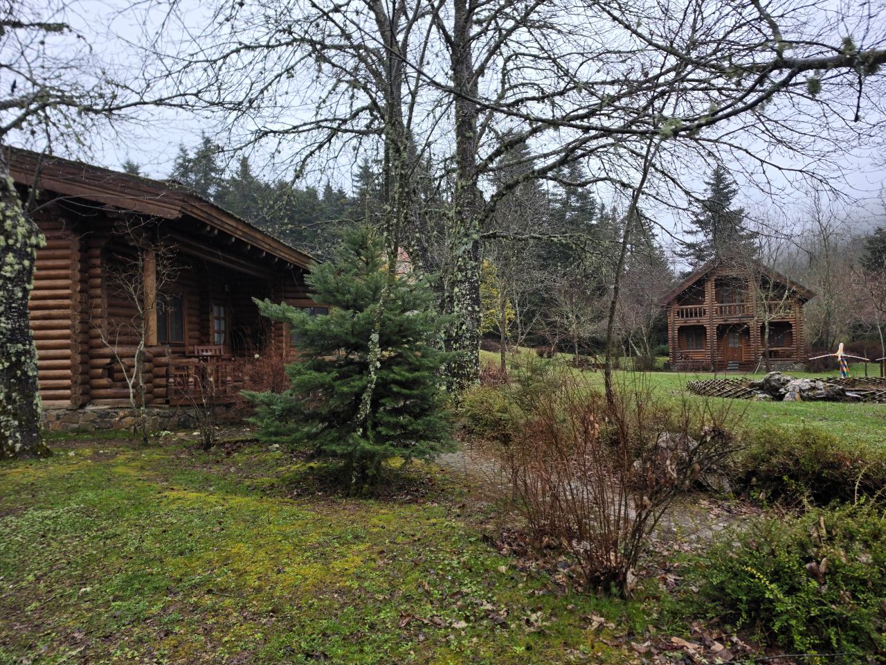 photo13