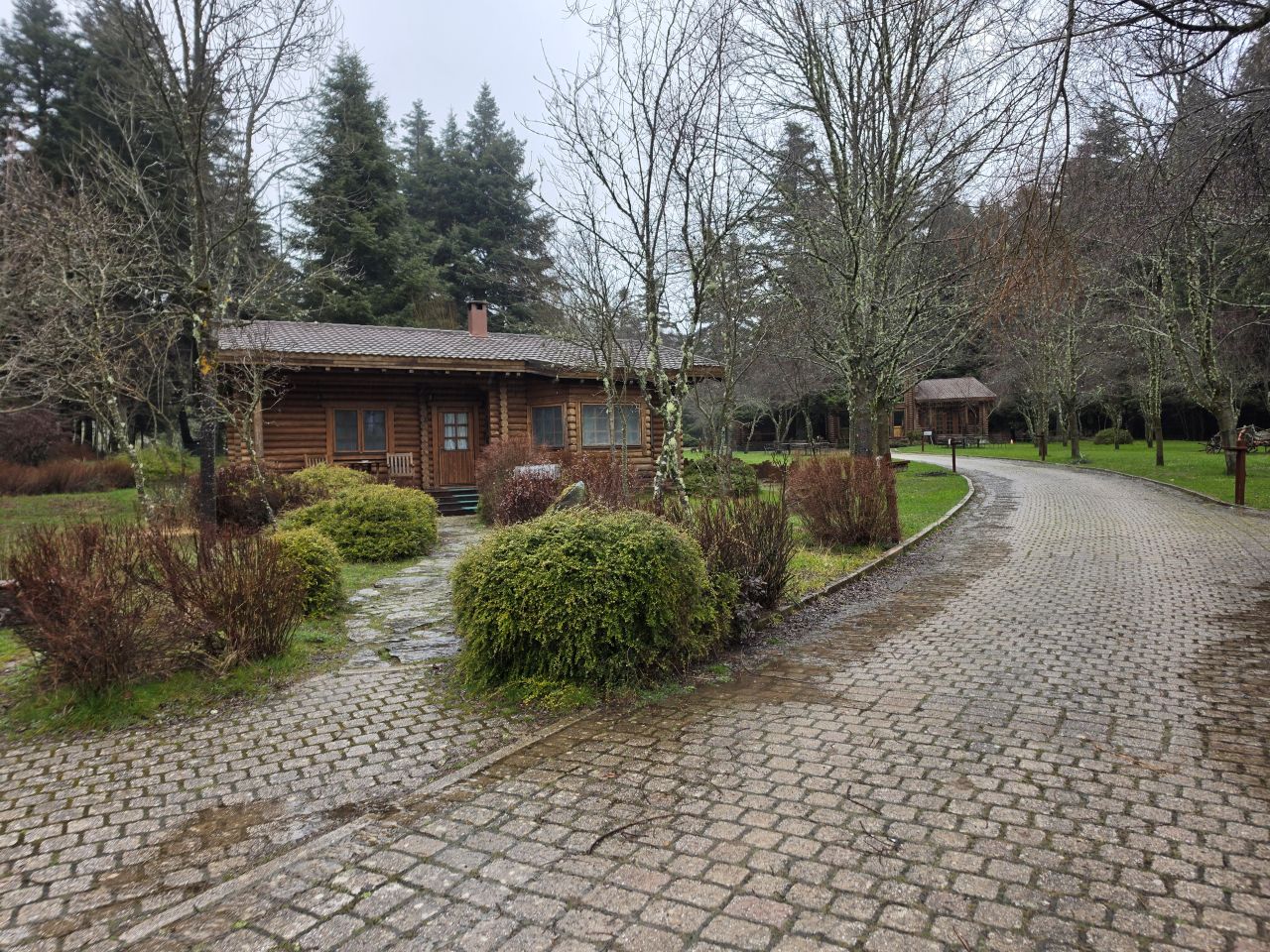 photo17