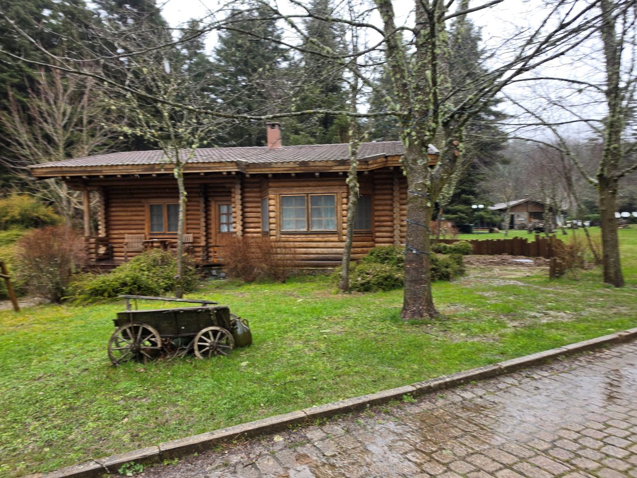 photo18