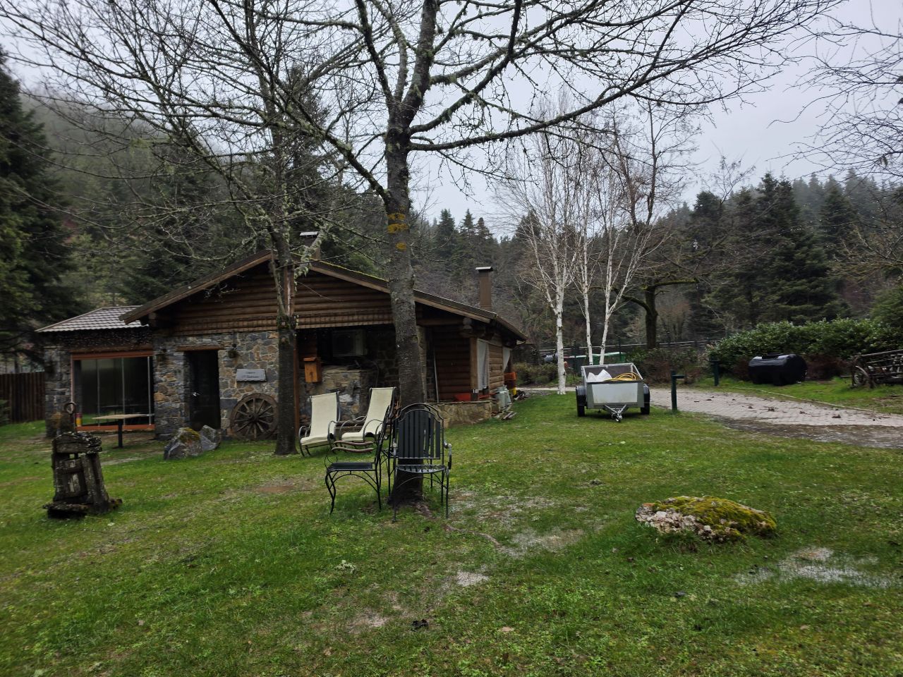 photo19
