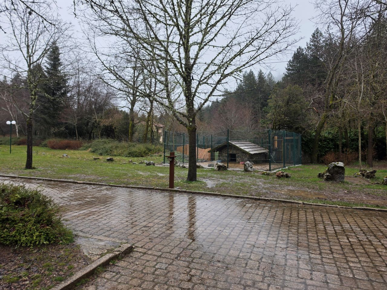 photo5