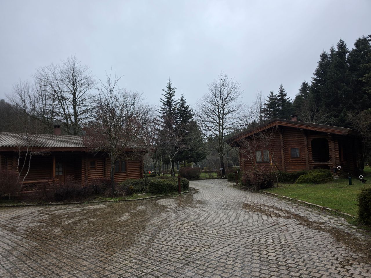 photo8