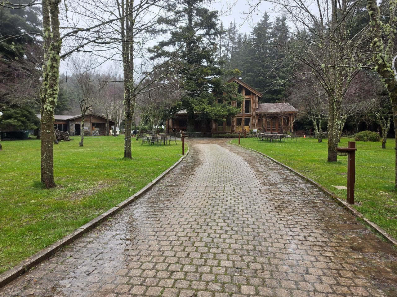 photo9