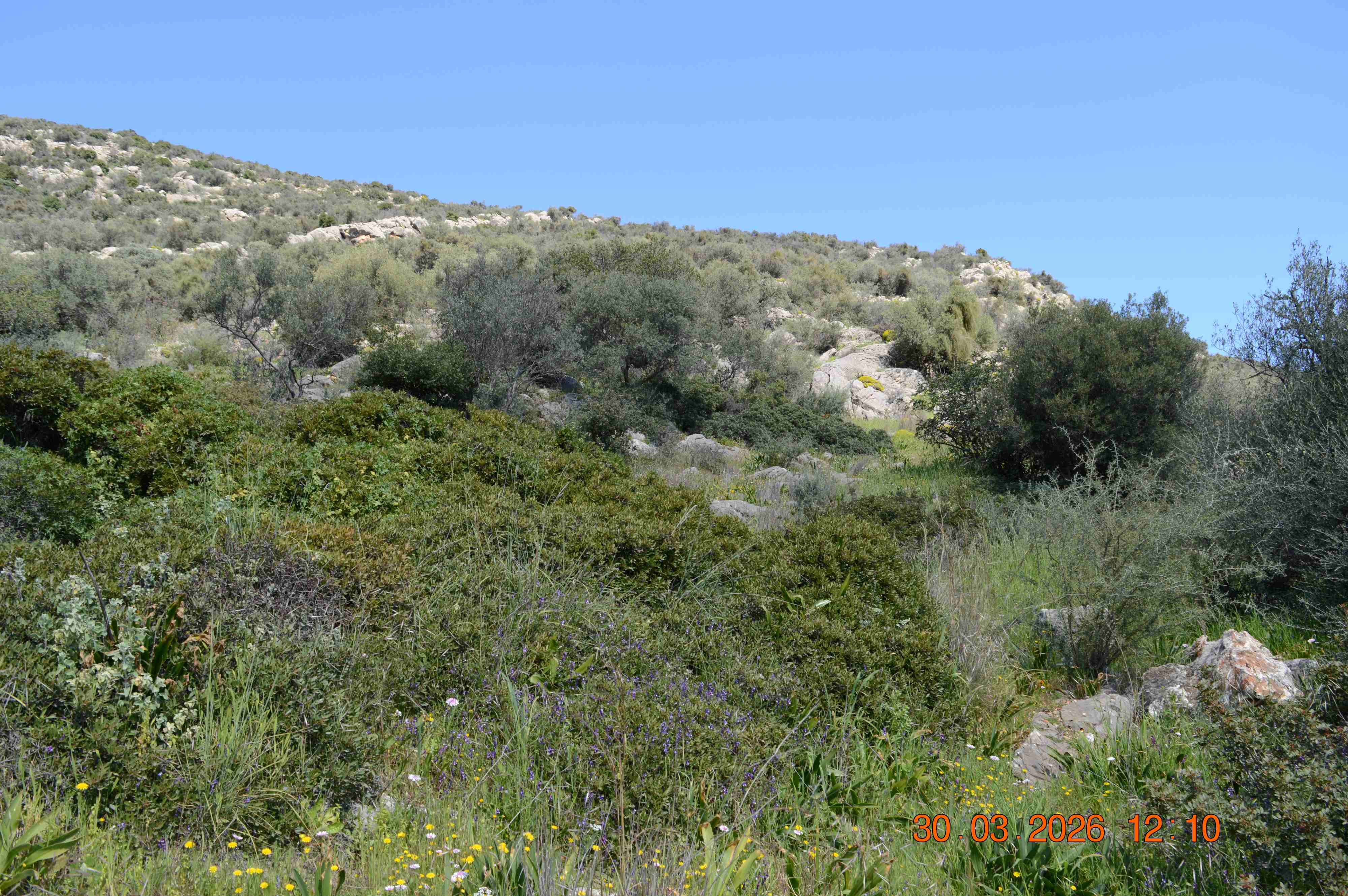 photo0