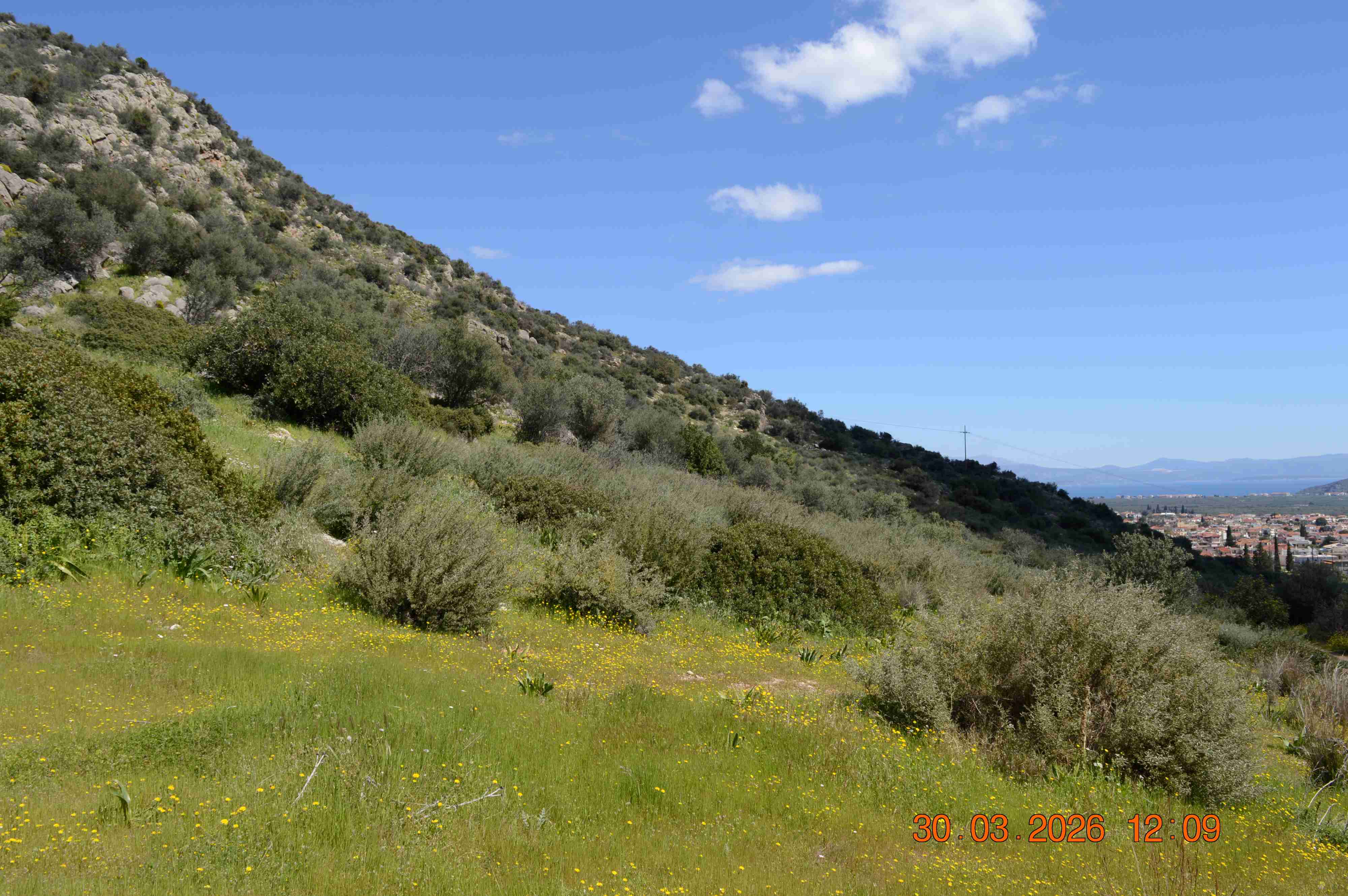 photo1