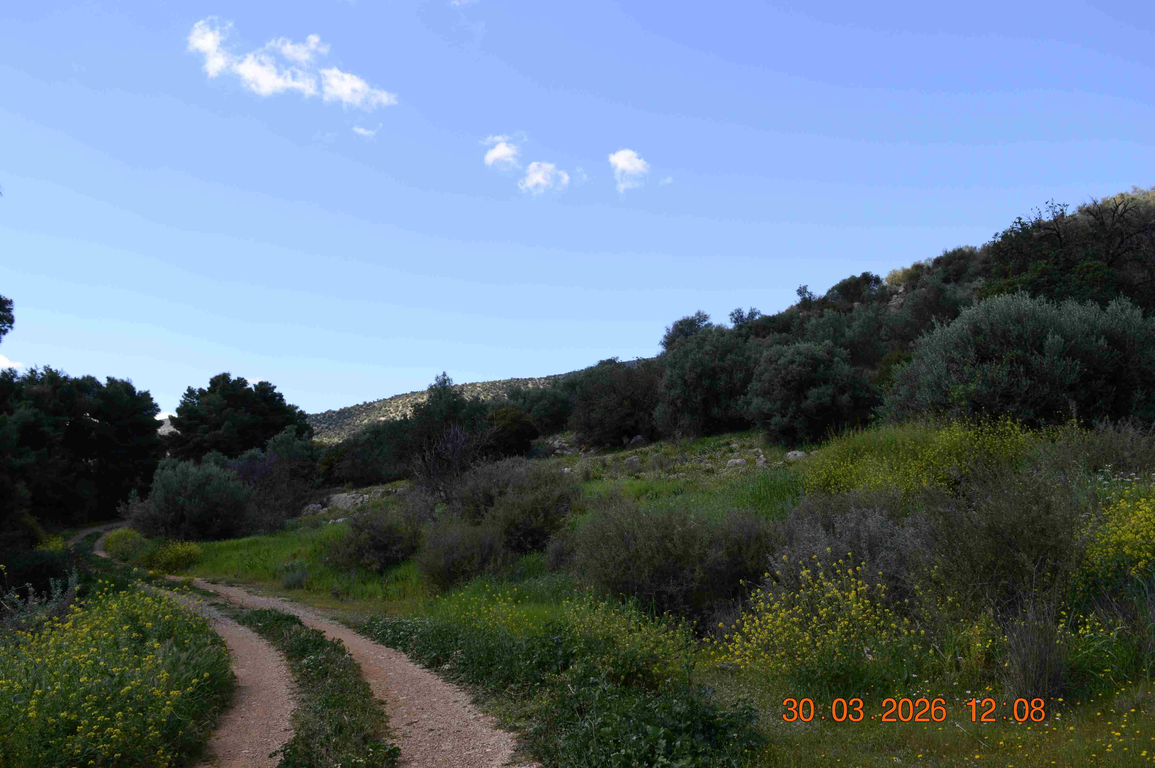 photo2