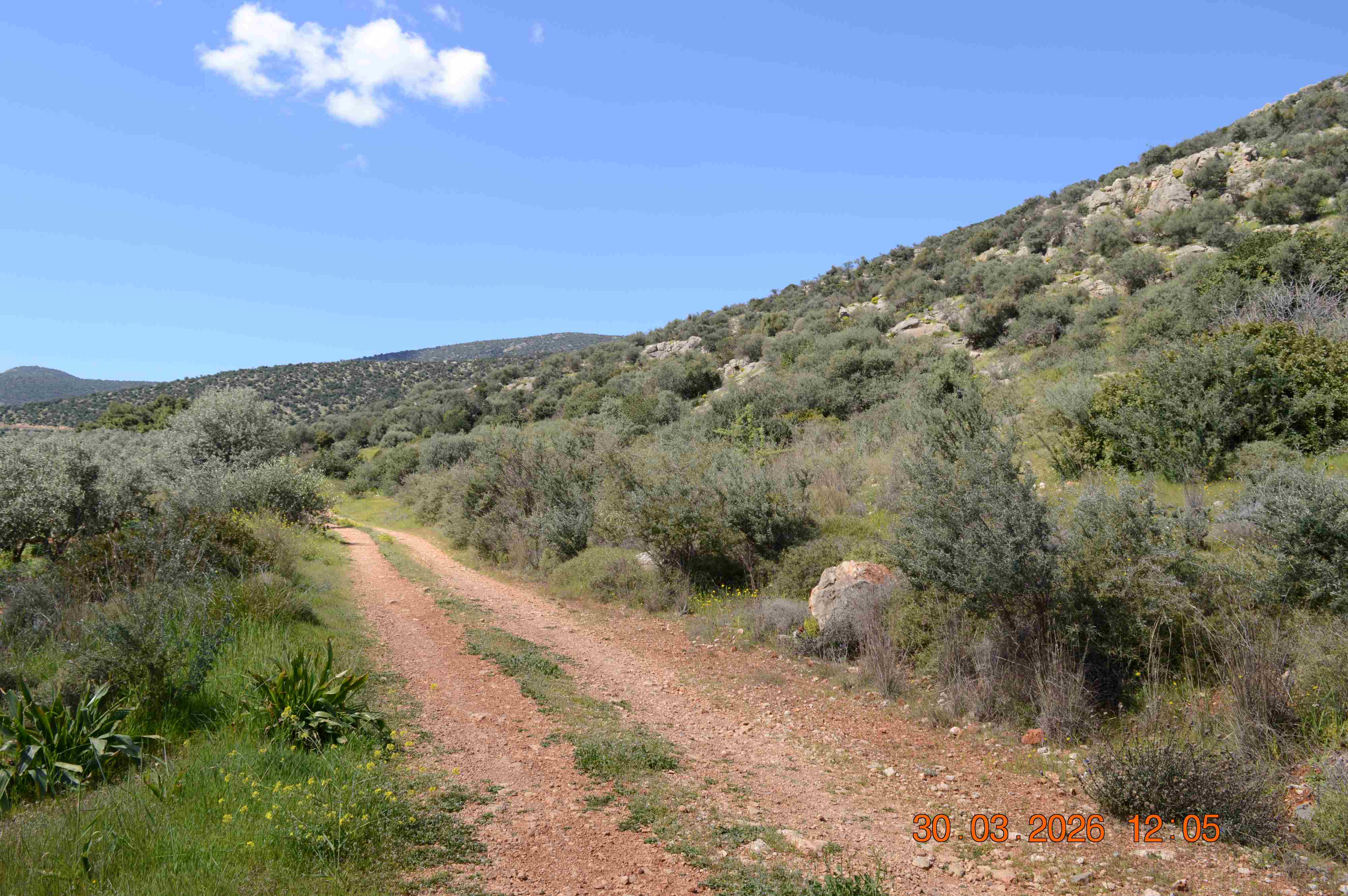 photo3