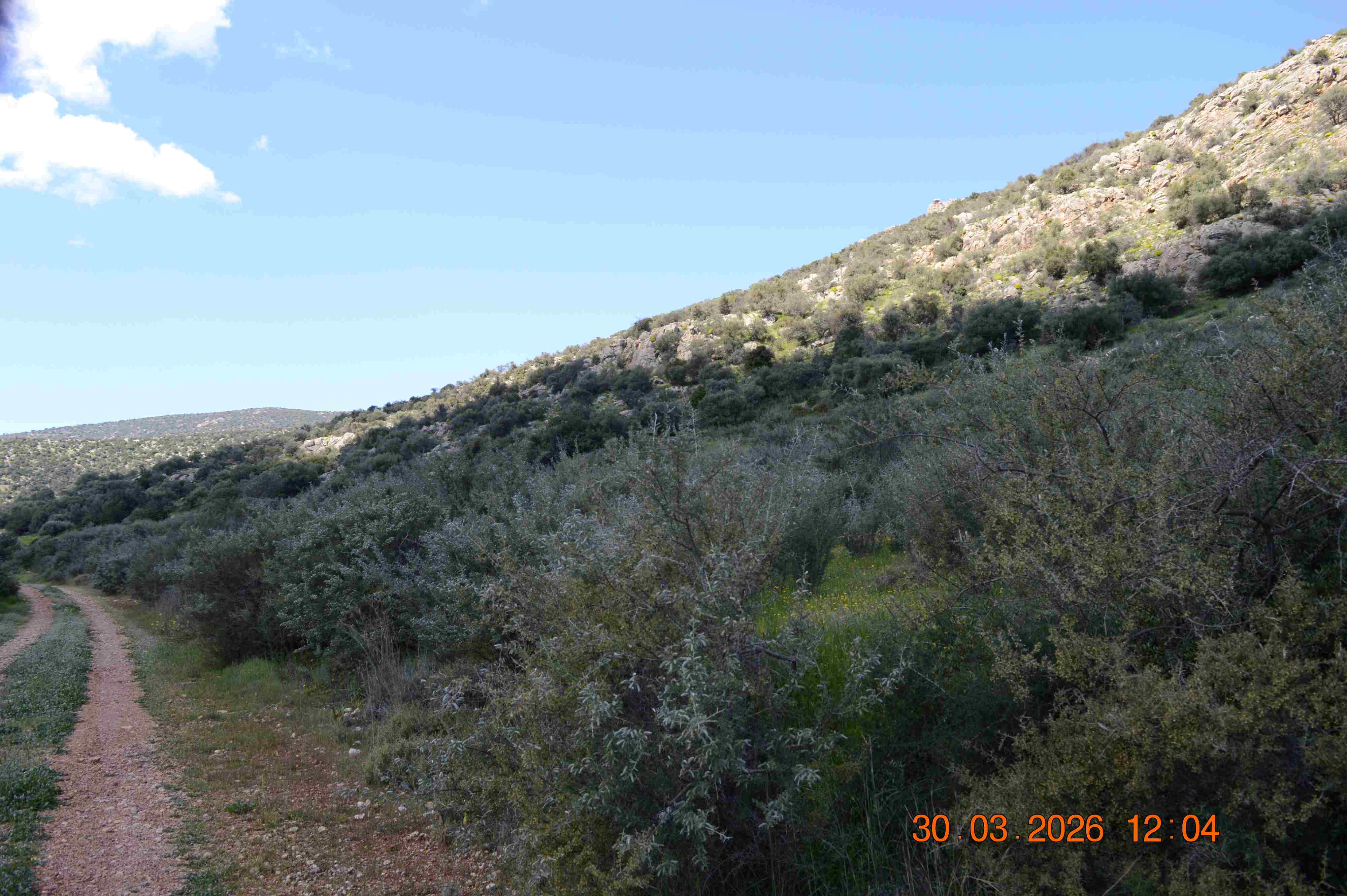 photo4