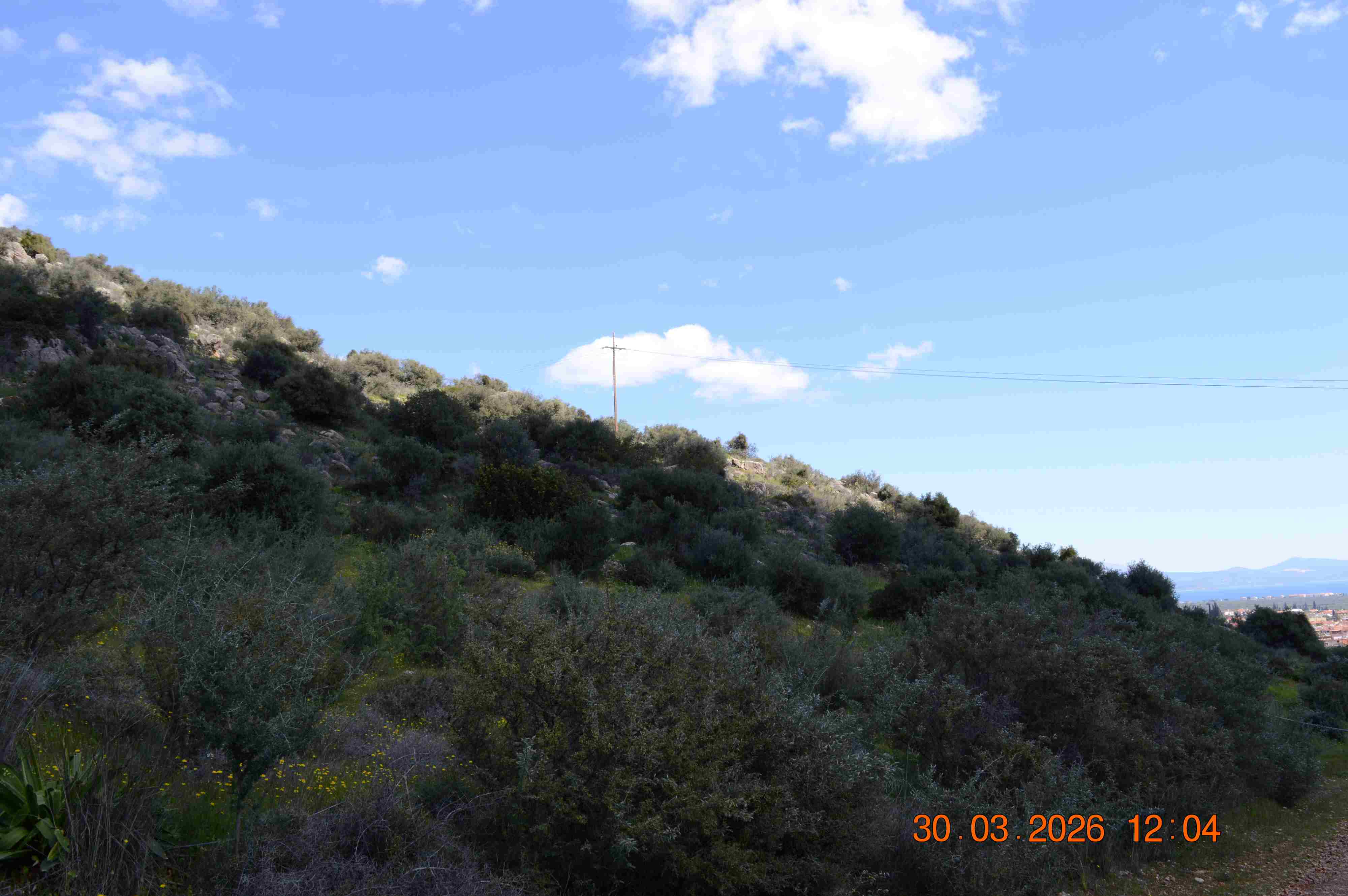 photo5