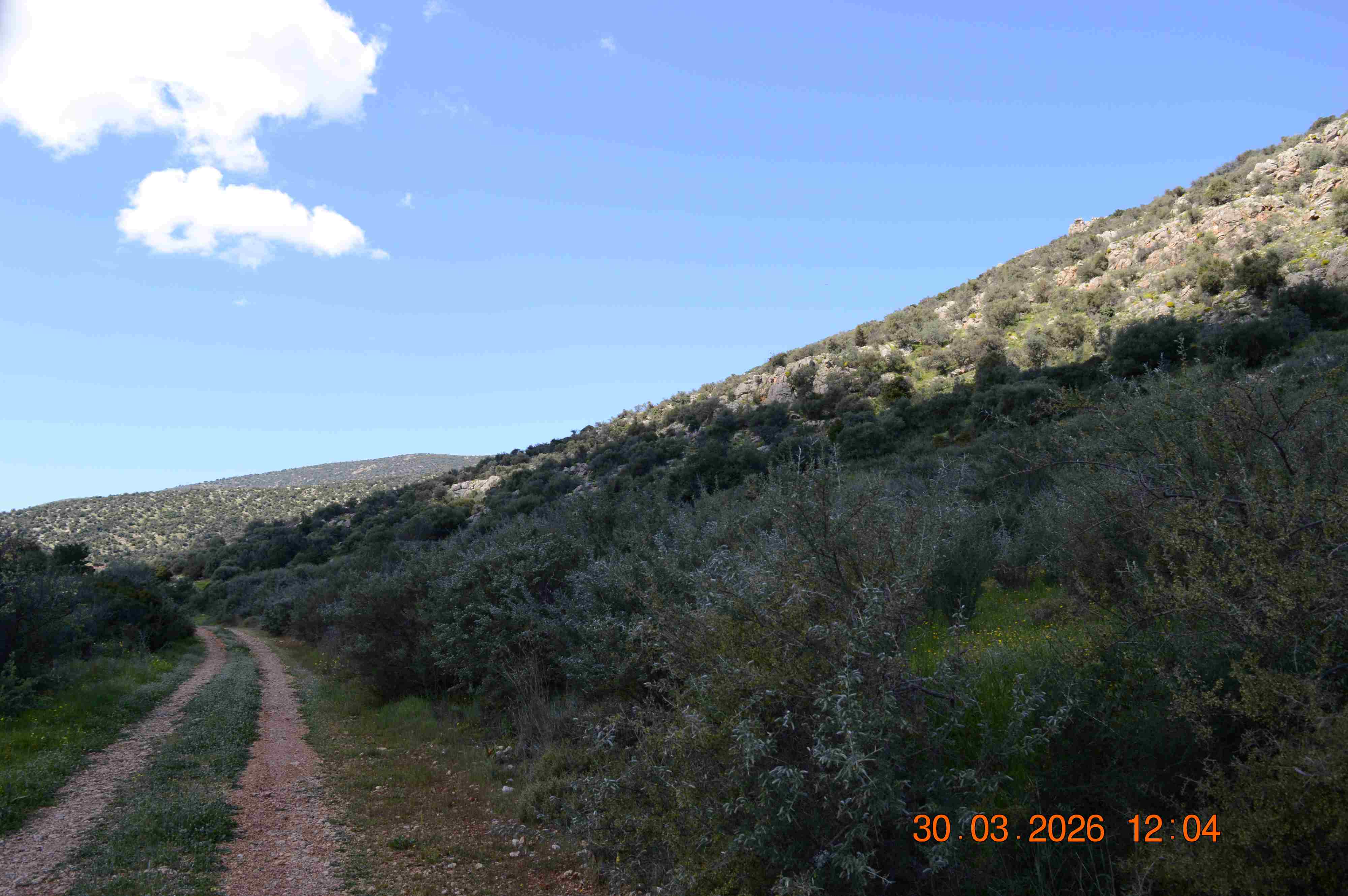 photo6