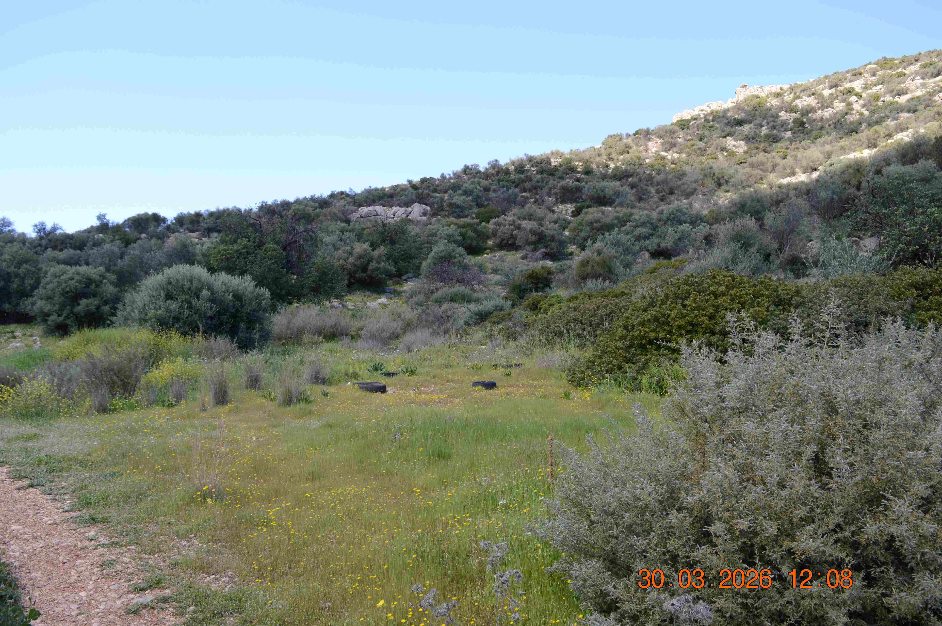 photo7
