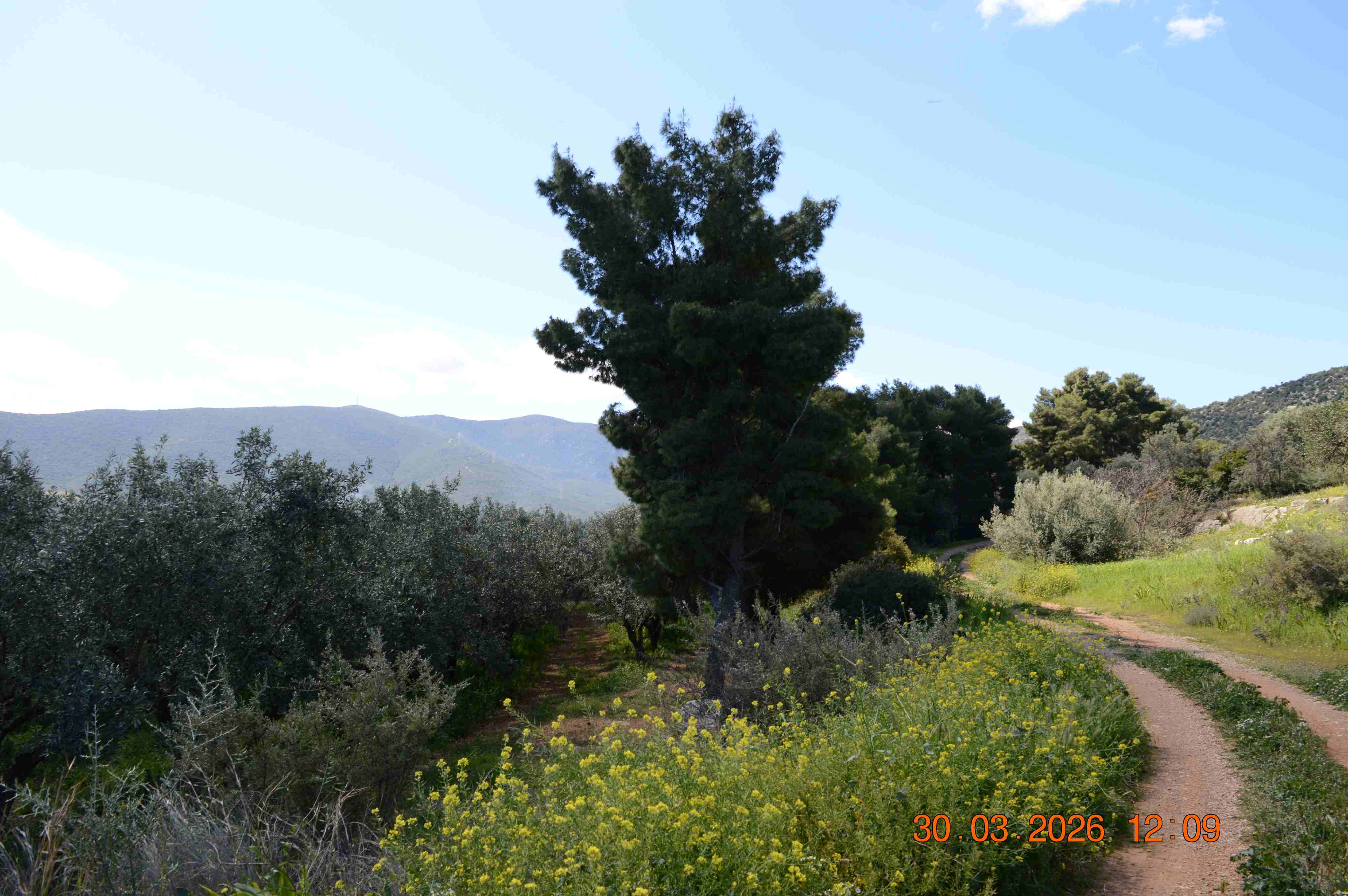 photo8