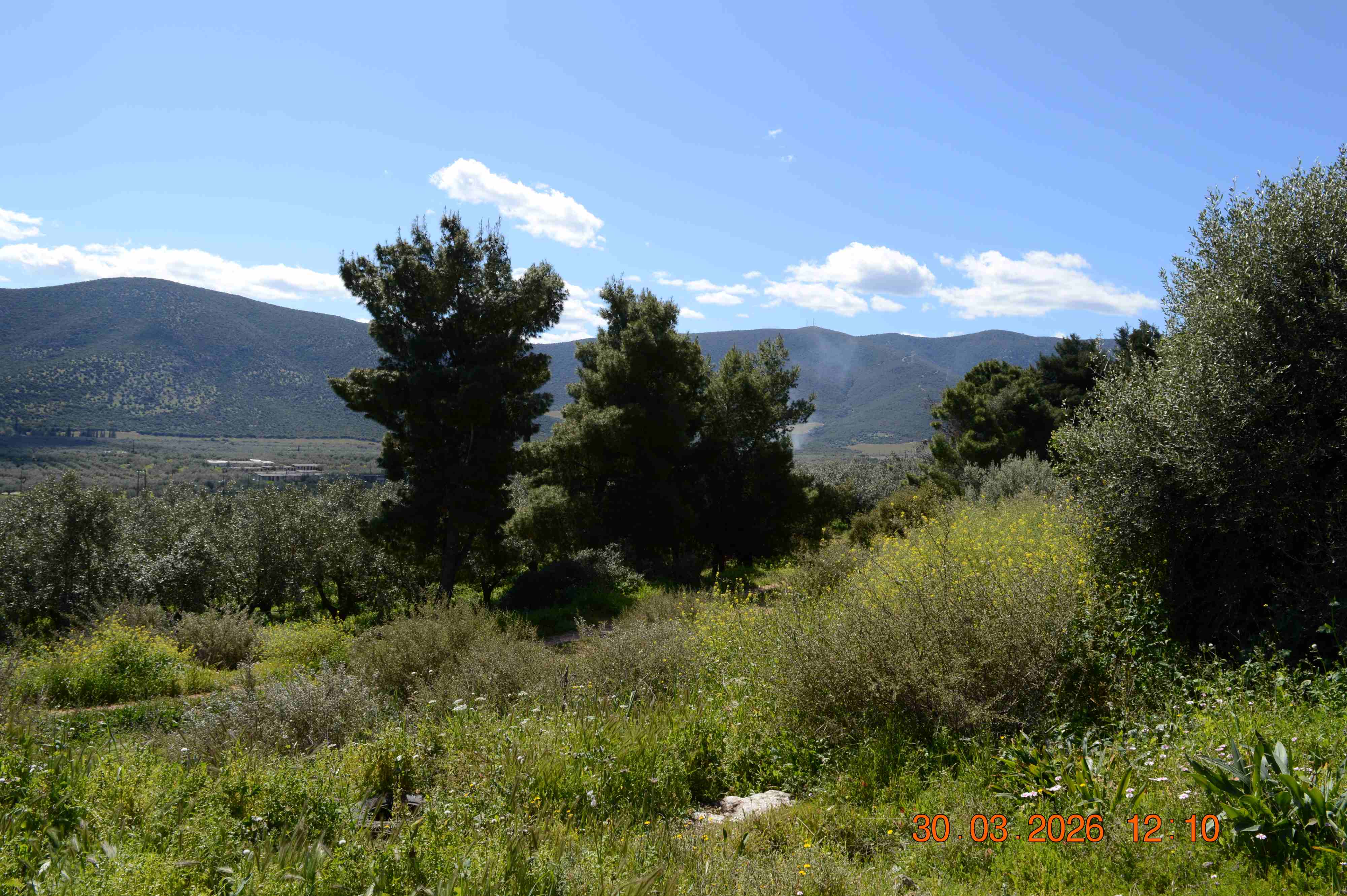 photo9