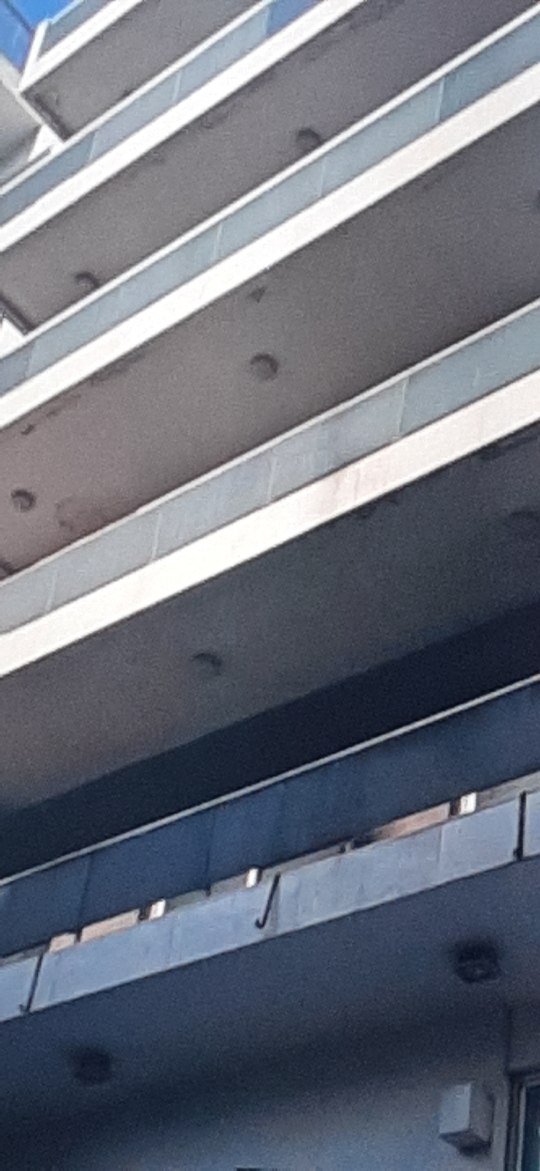 photo0