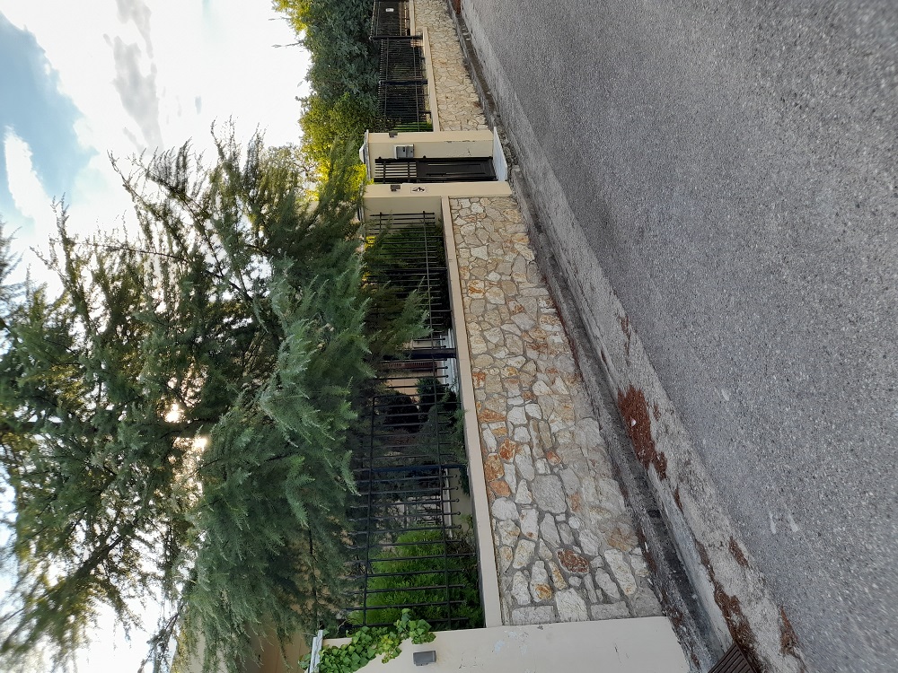 photo1