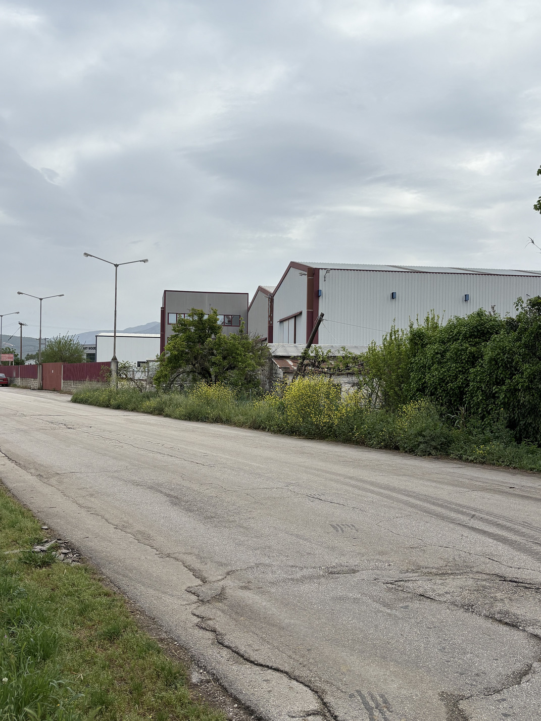 photomain