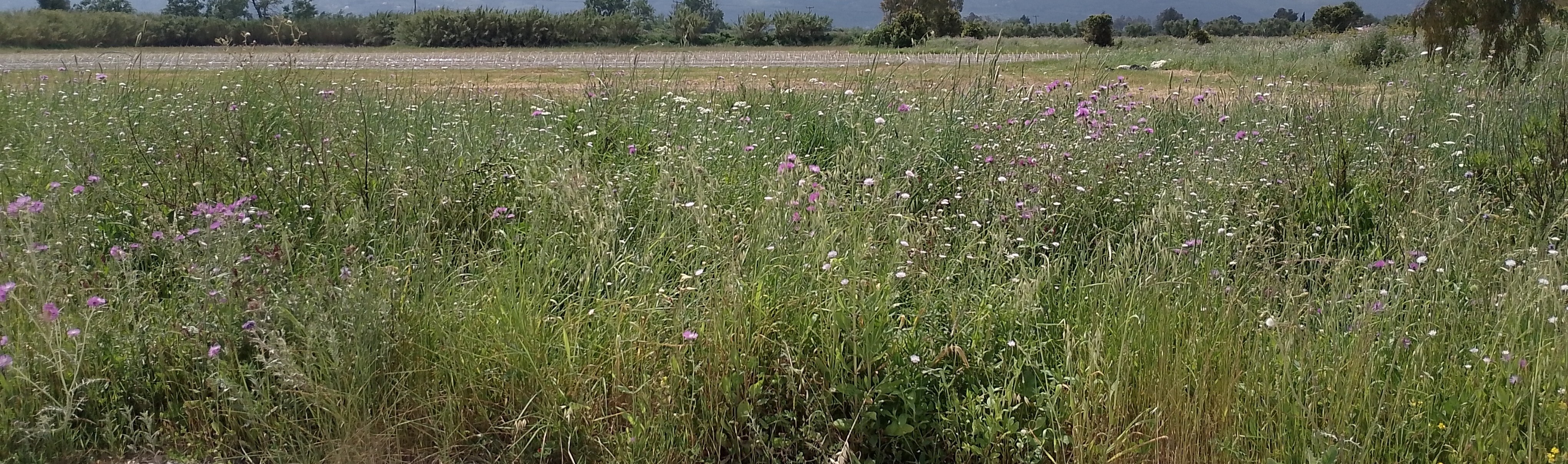photo2