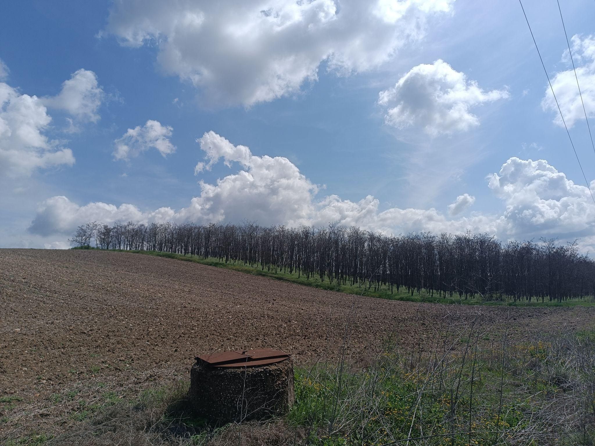 photo1