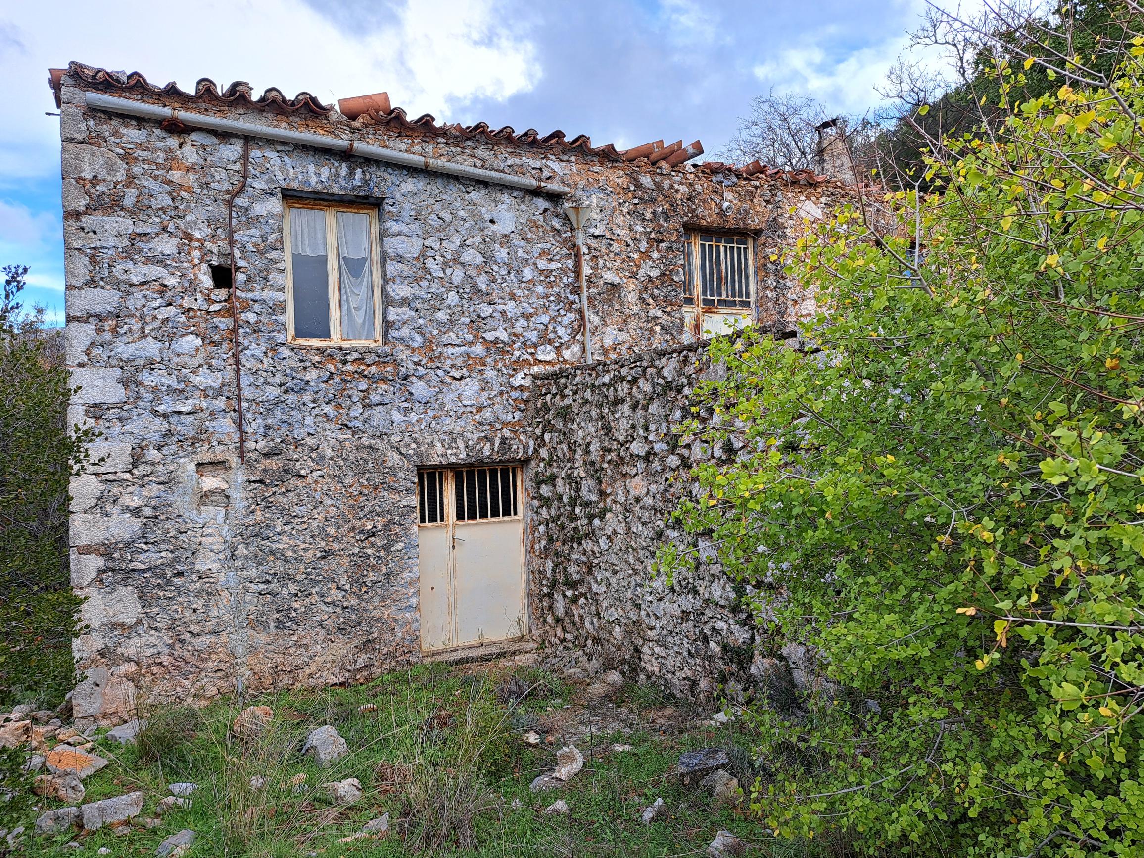 photo1